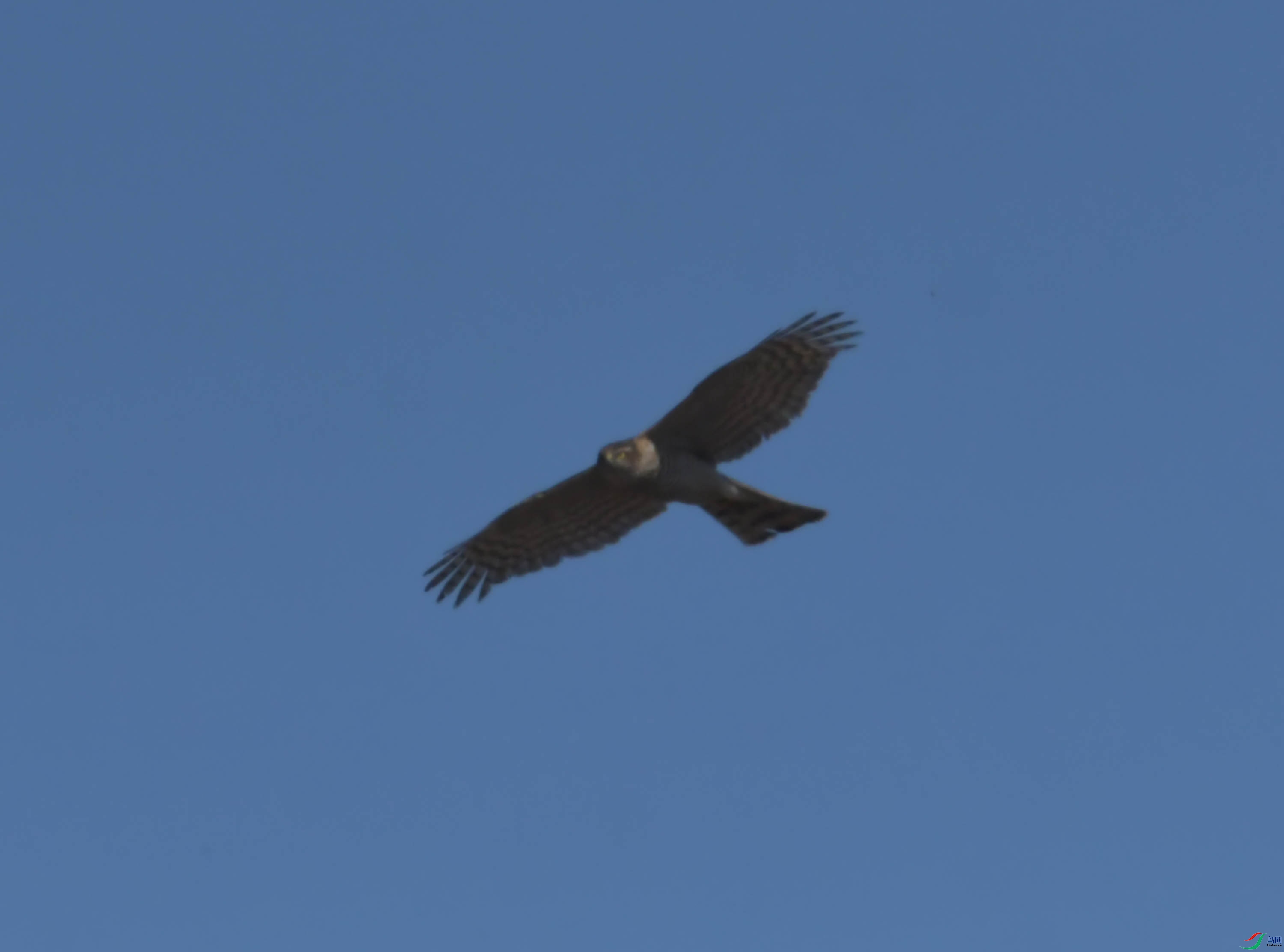 DSC_8280.JPG