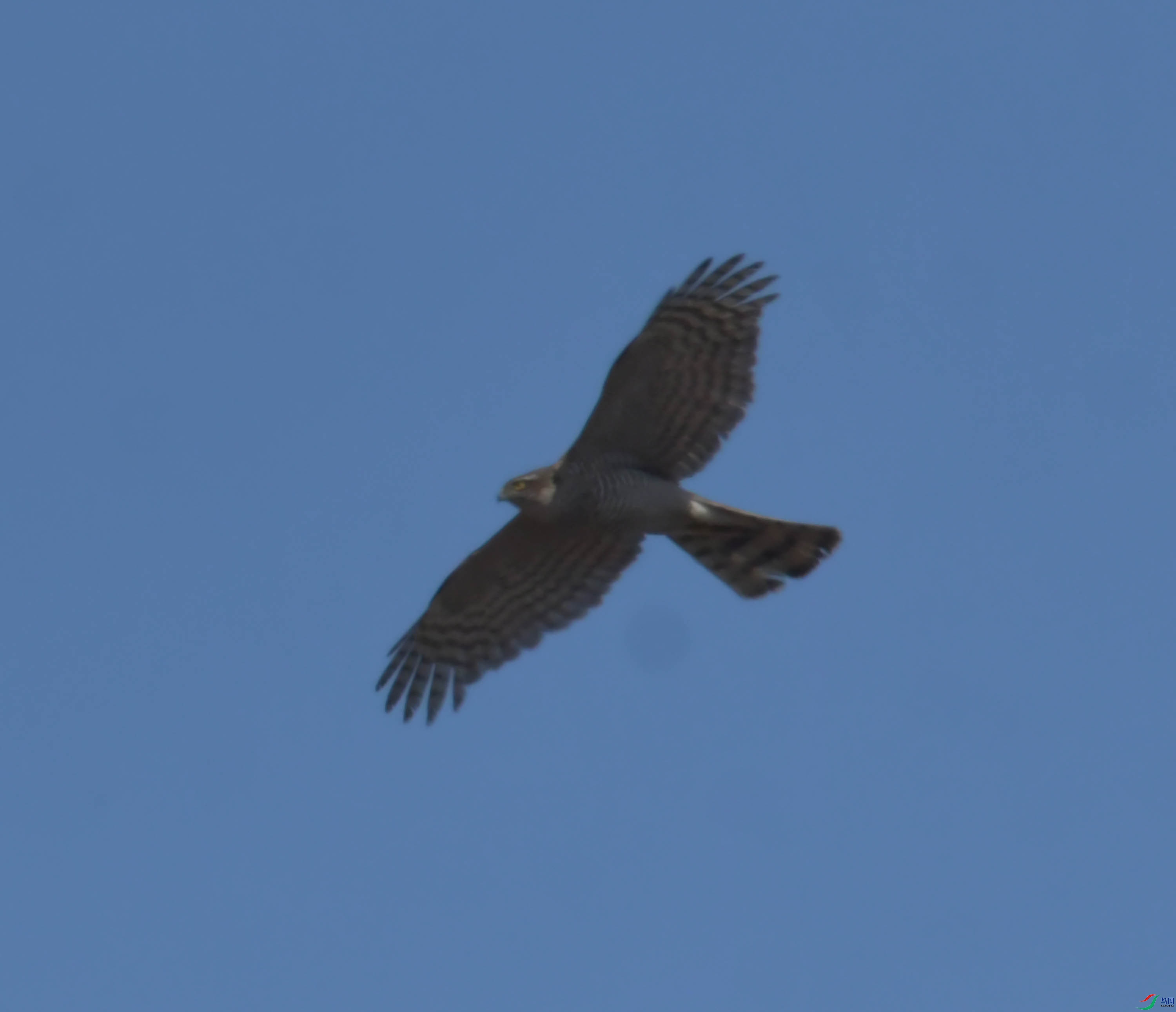 DSC_8278.JPG