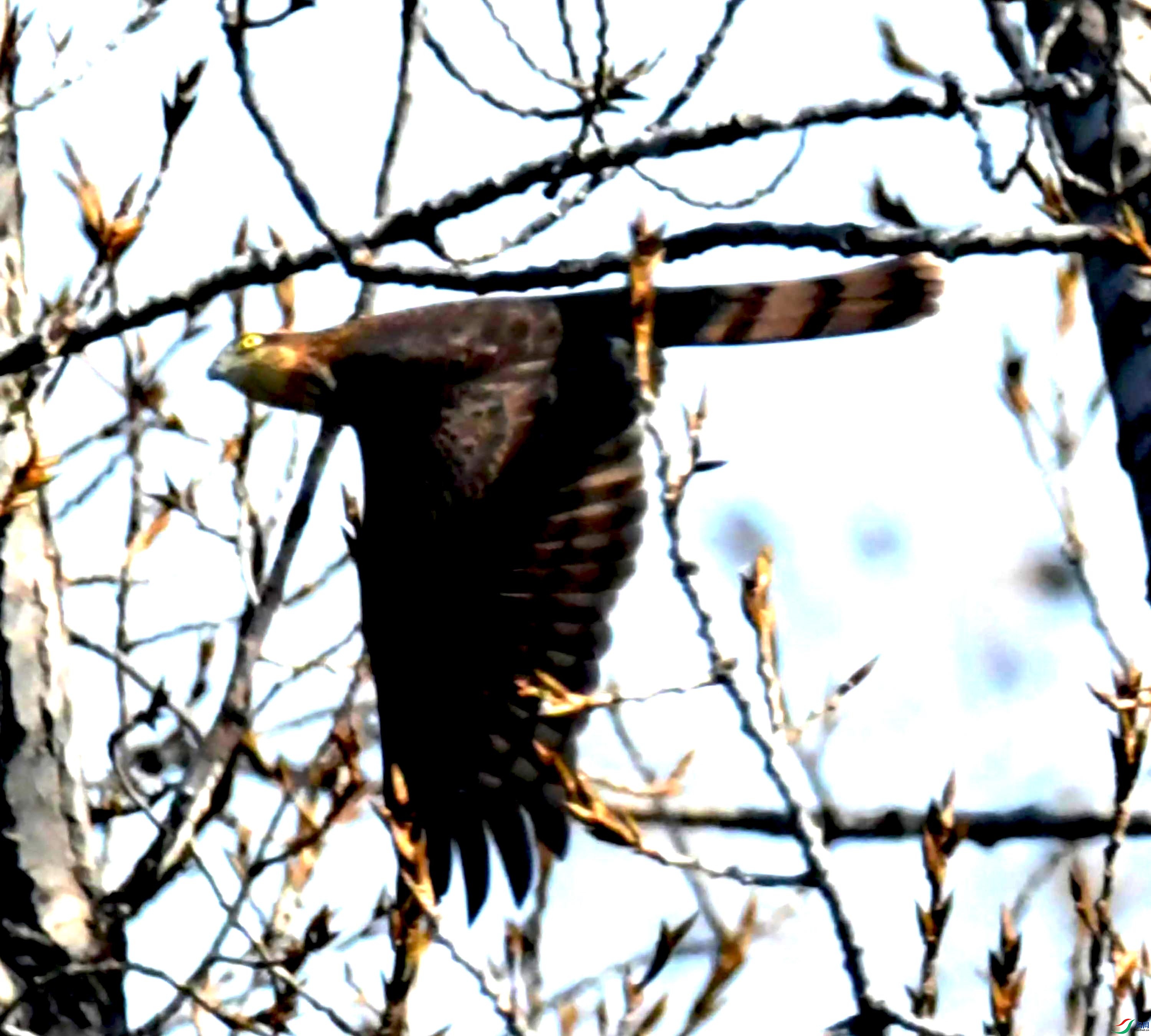 DSC_8944.JPG