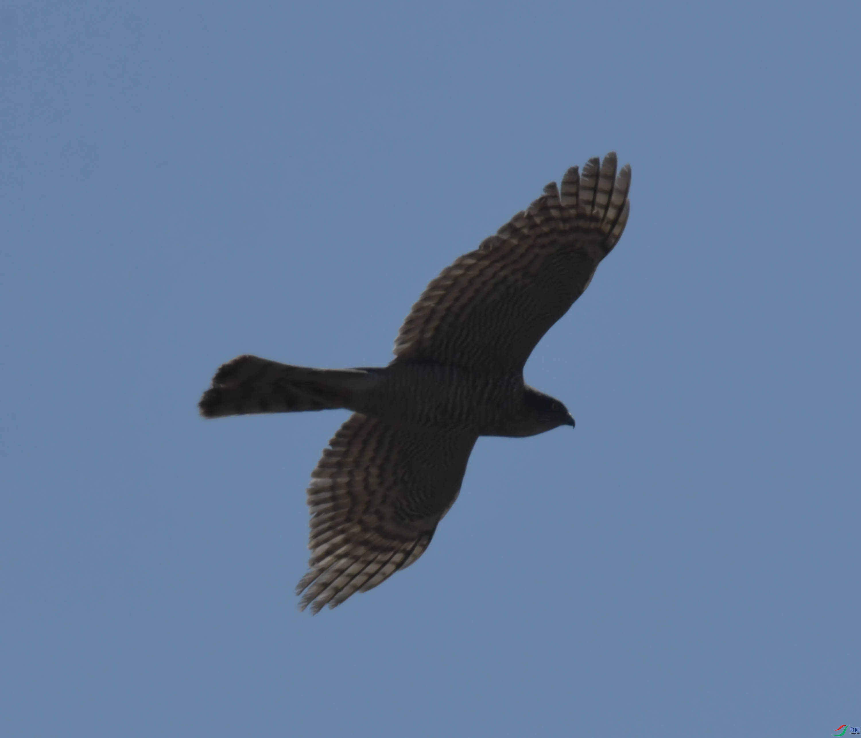 DSC_8292.JPG