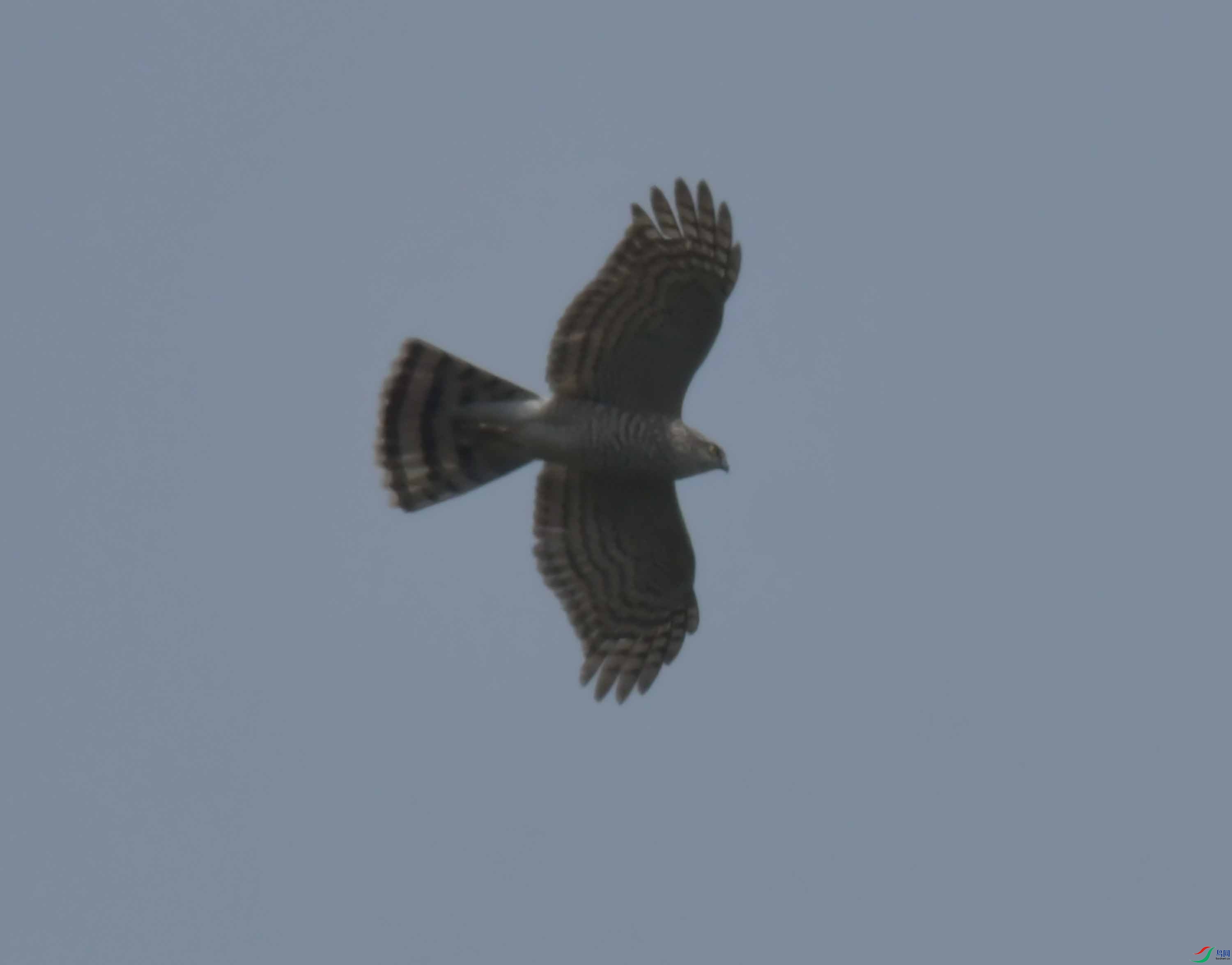 DSC_9407.JPG