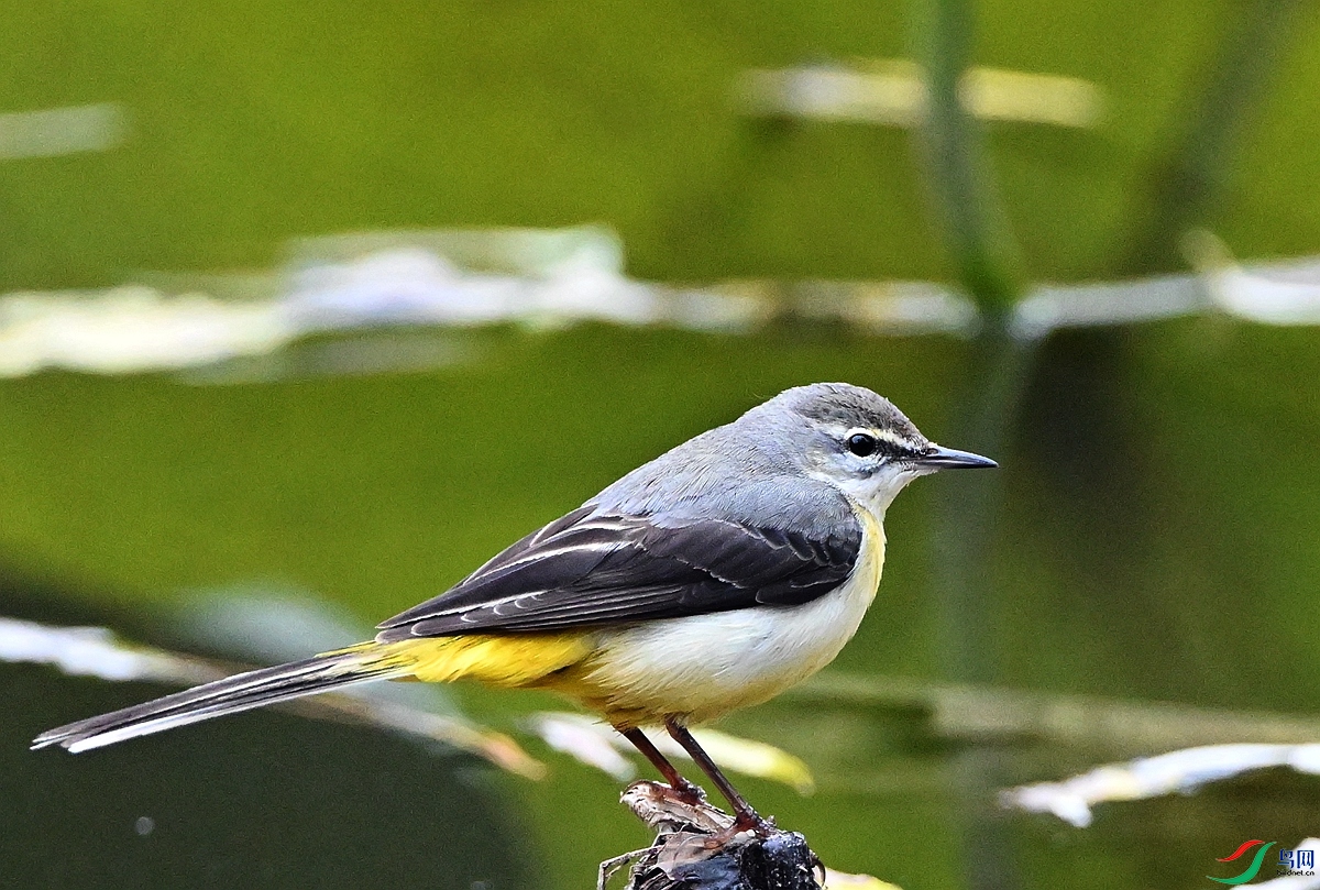 DSC_8492.JPG