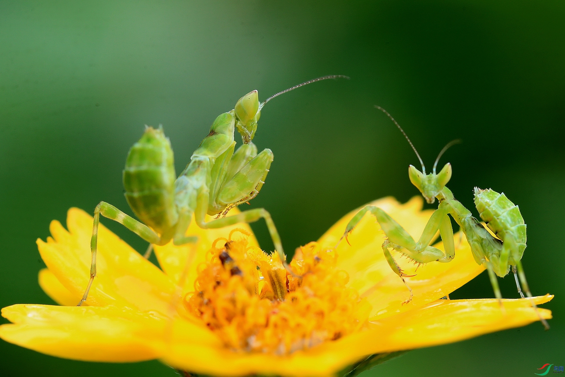 ����AI0I1151�����ɡ��Ծ�������΢�ࣩ.JPG