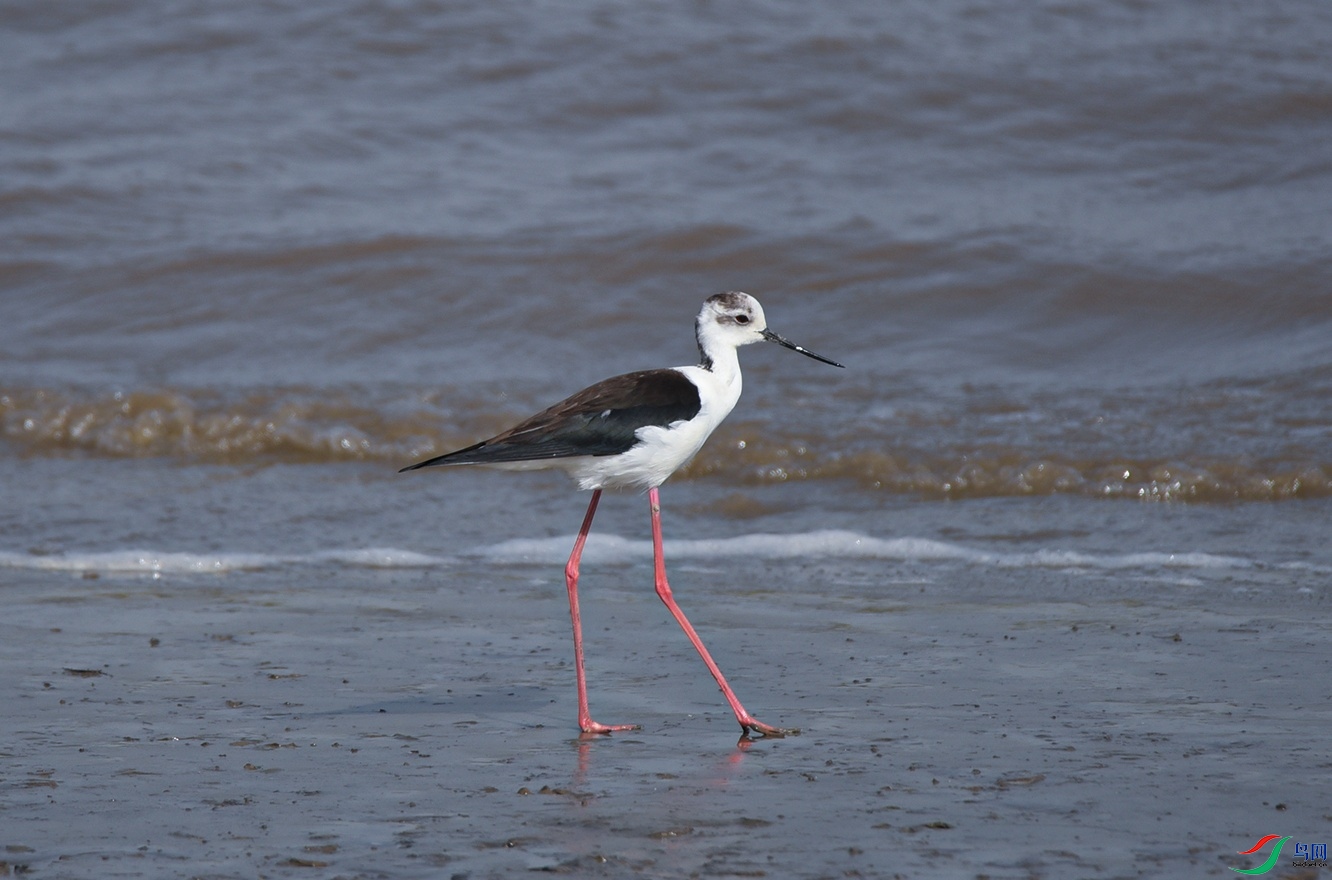 DSC_5083f_��ͼ��.jpg