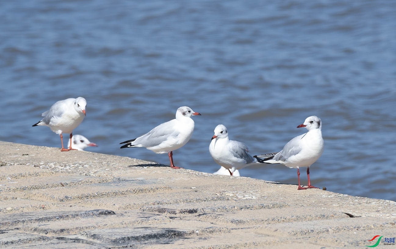 DSC_5140f_��ͼ��.jpg