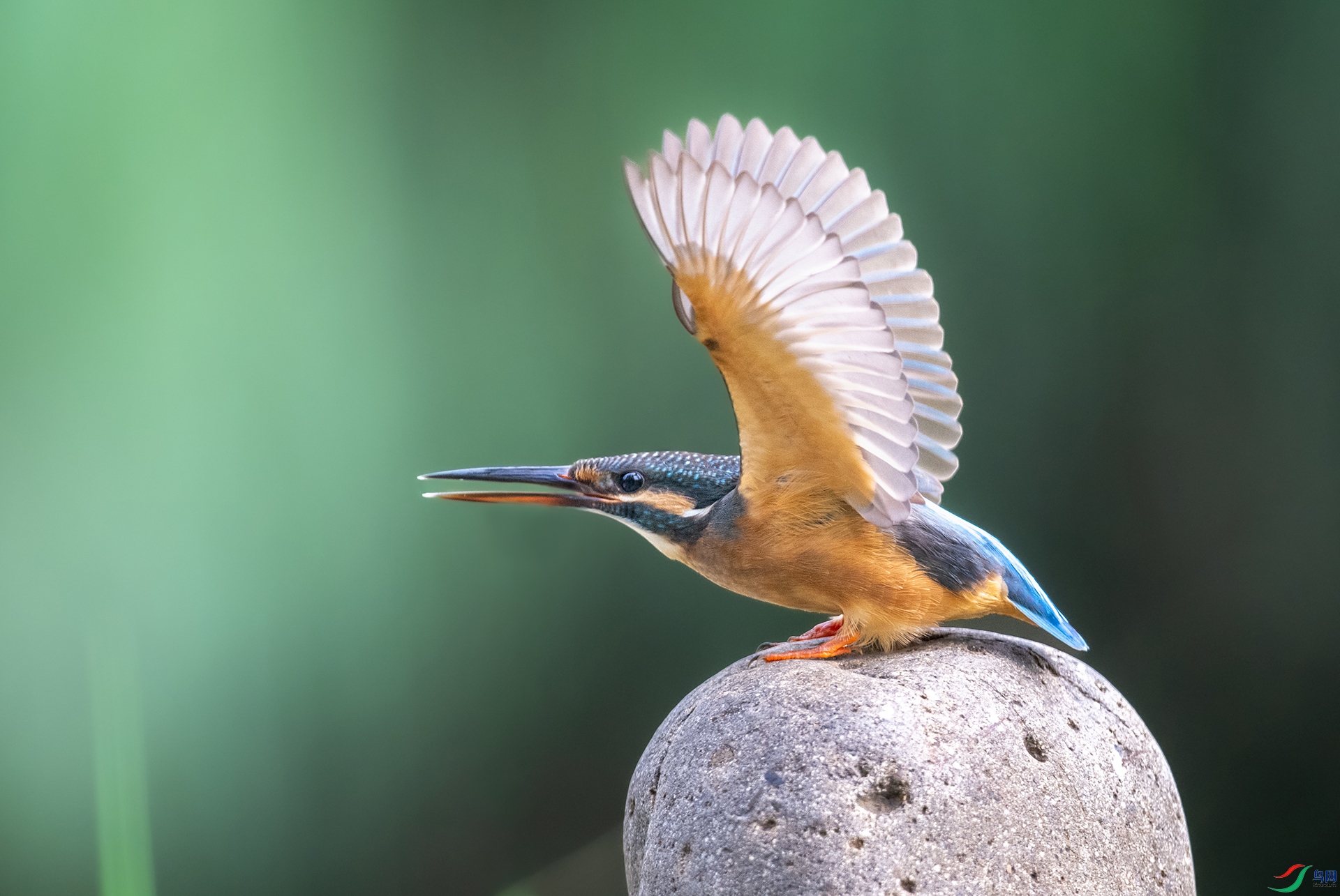DSC_7482-1.jpg