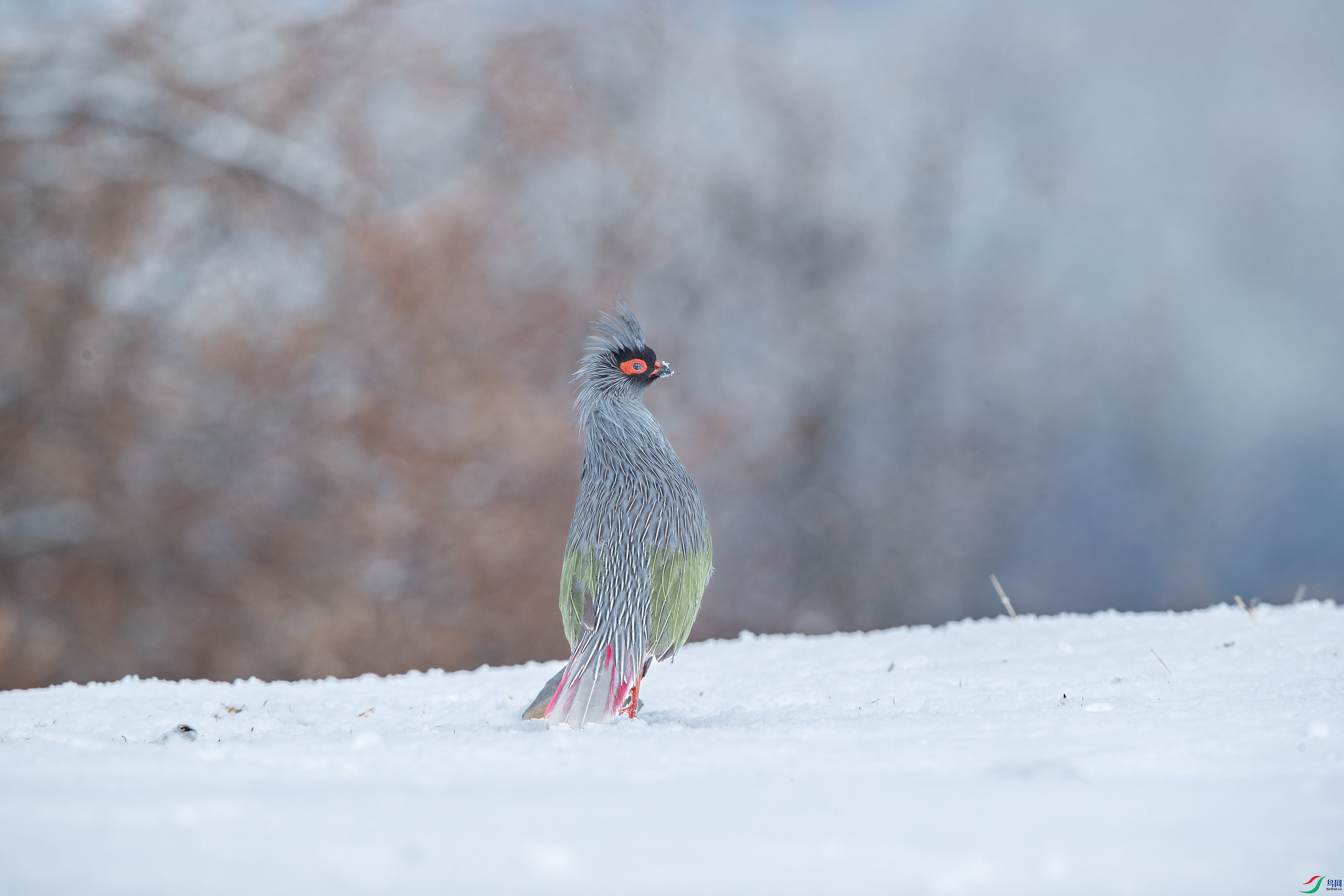 AY8I0529 ����.jpg