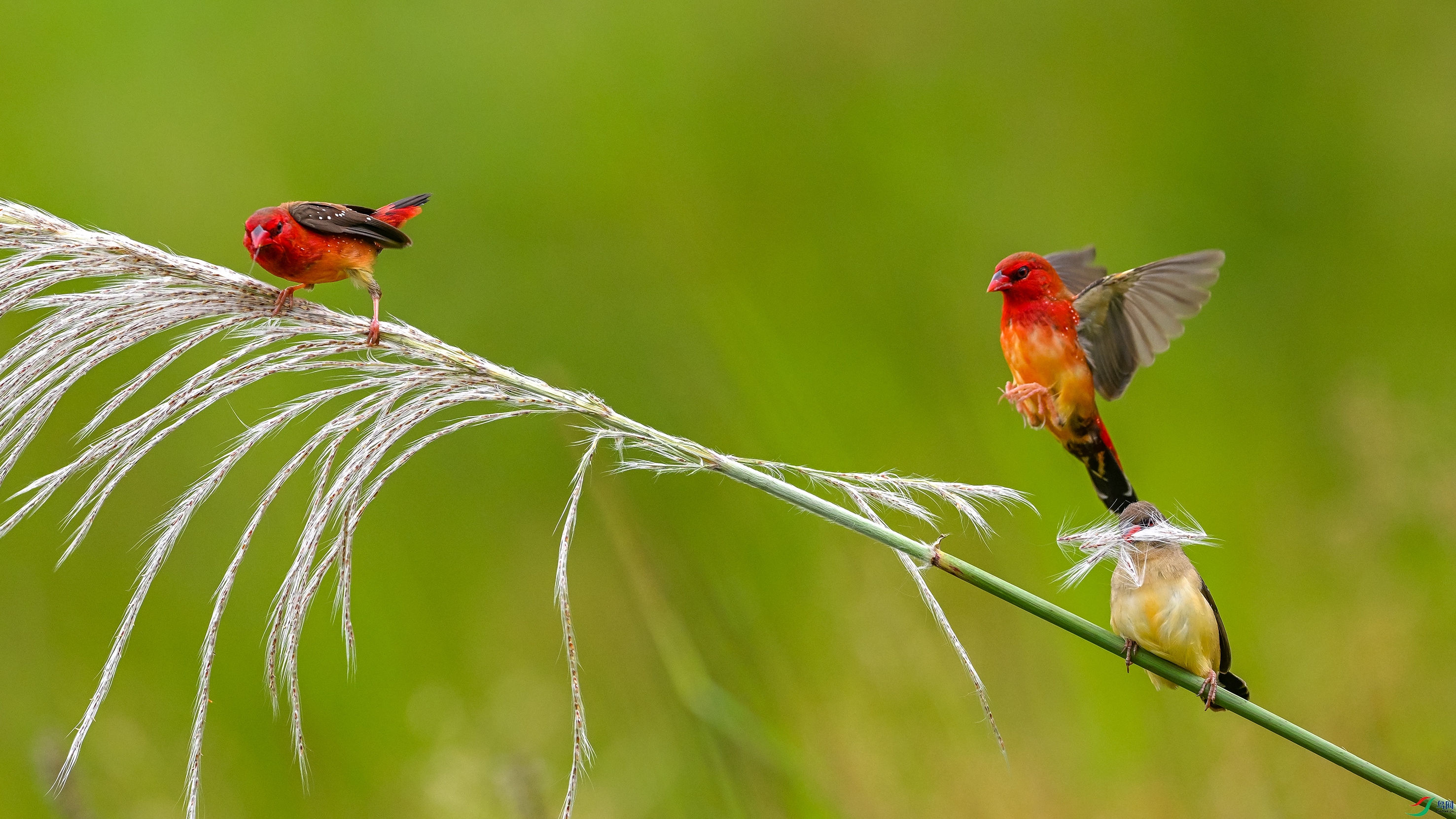 0849 ����.jpg