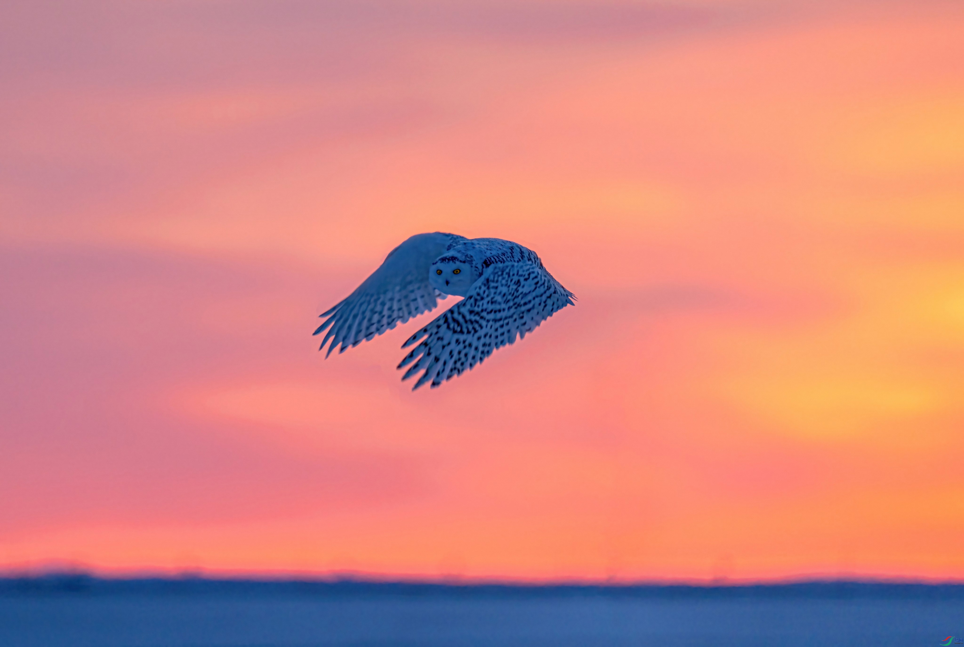 DSC02809-DeNoiseAI-denoise (1)(1)_polarr.jpeg