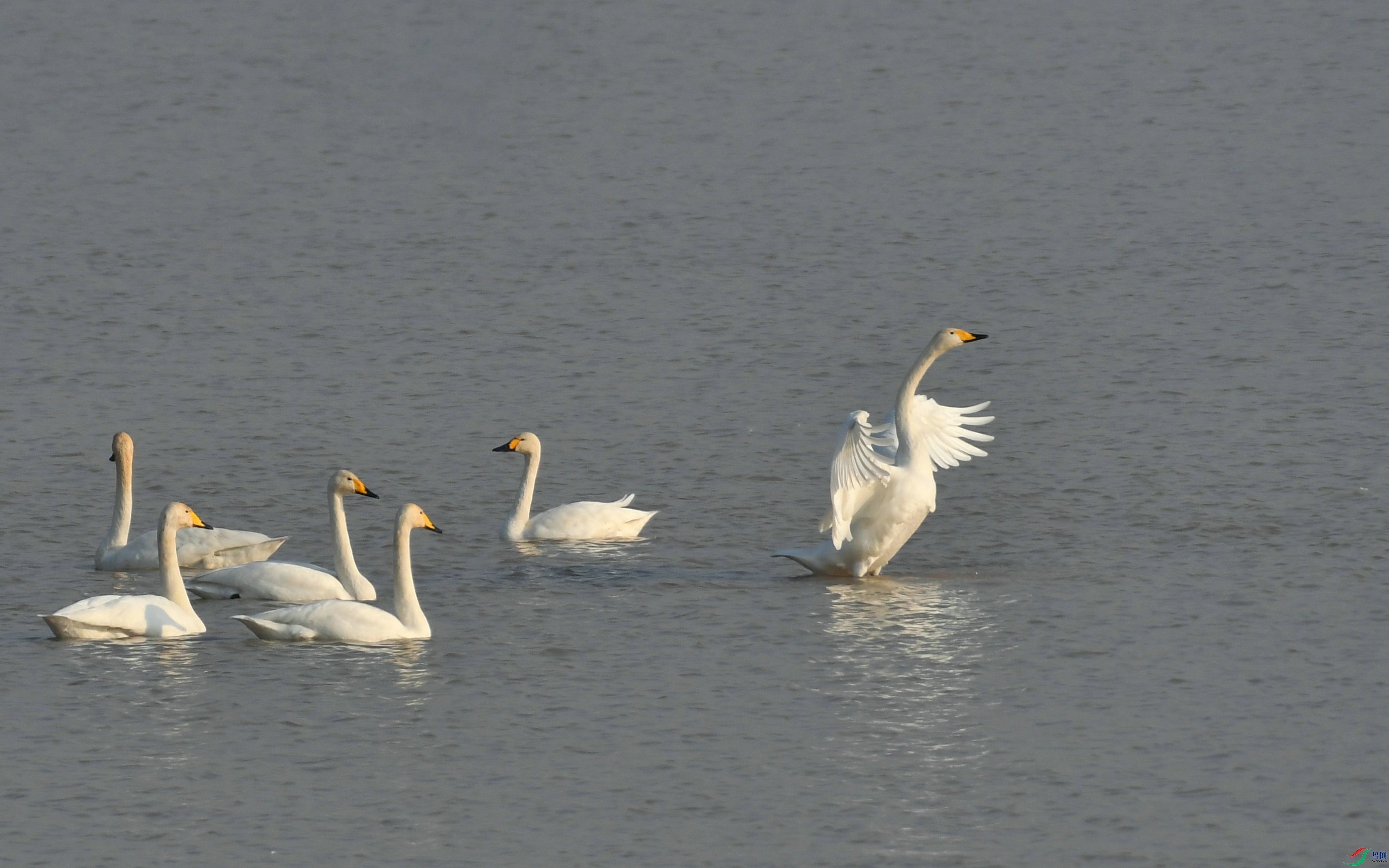 DSC_5113.JPG