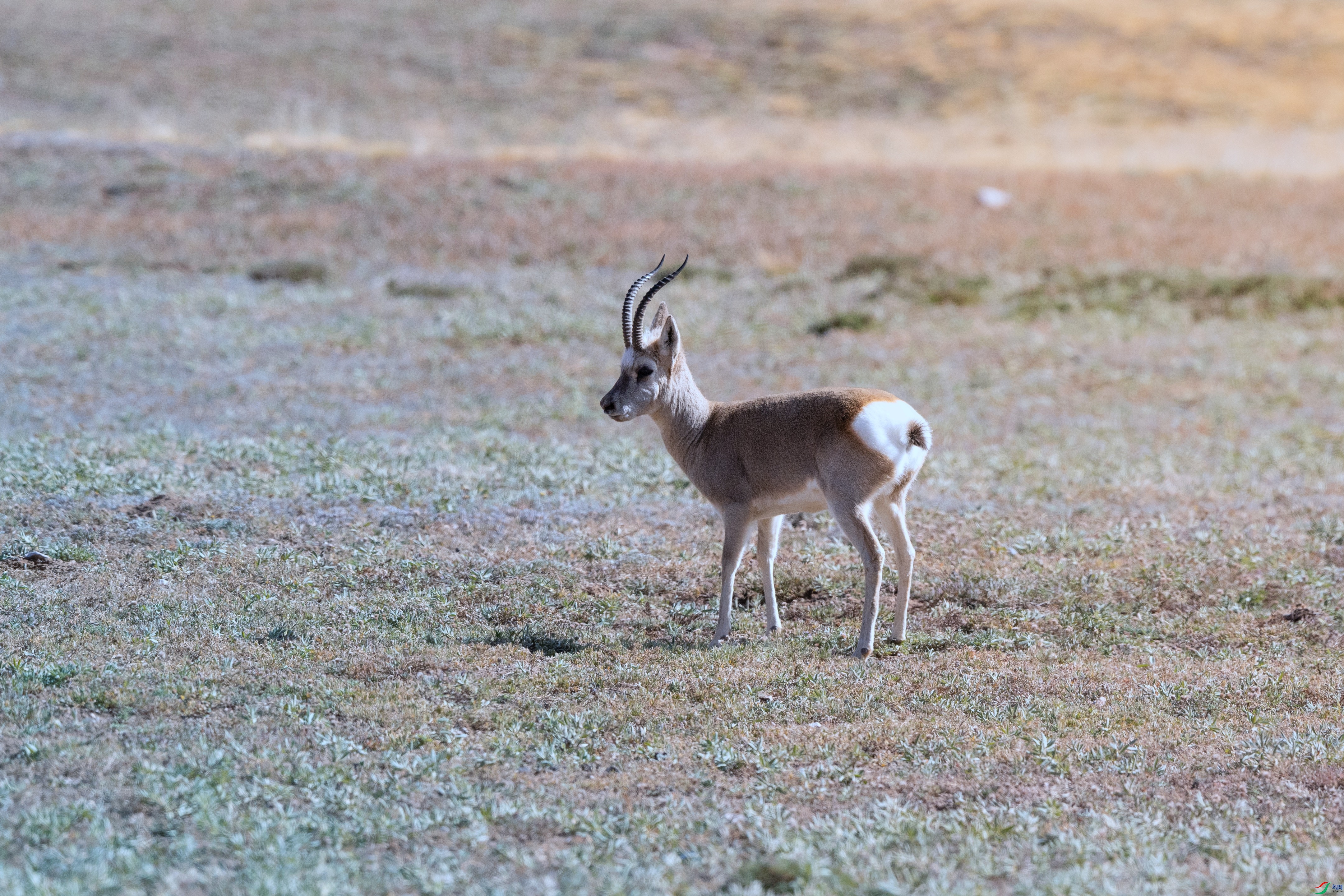 7X5A7369 - ����.jpg