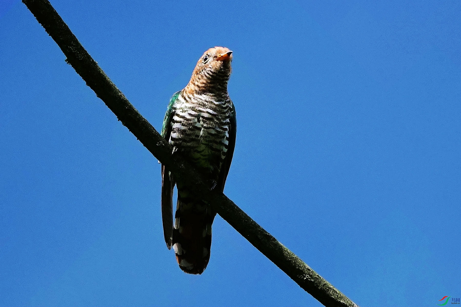 DSC_6216_����.jpg