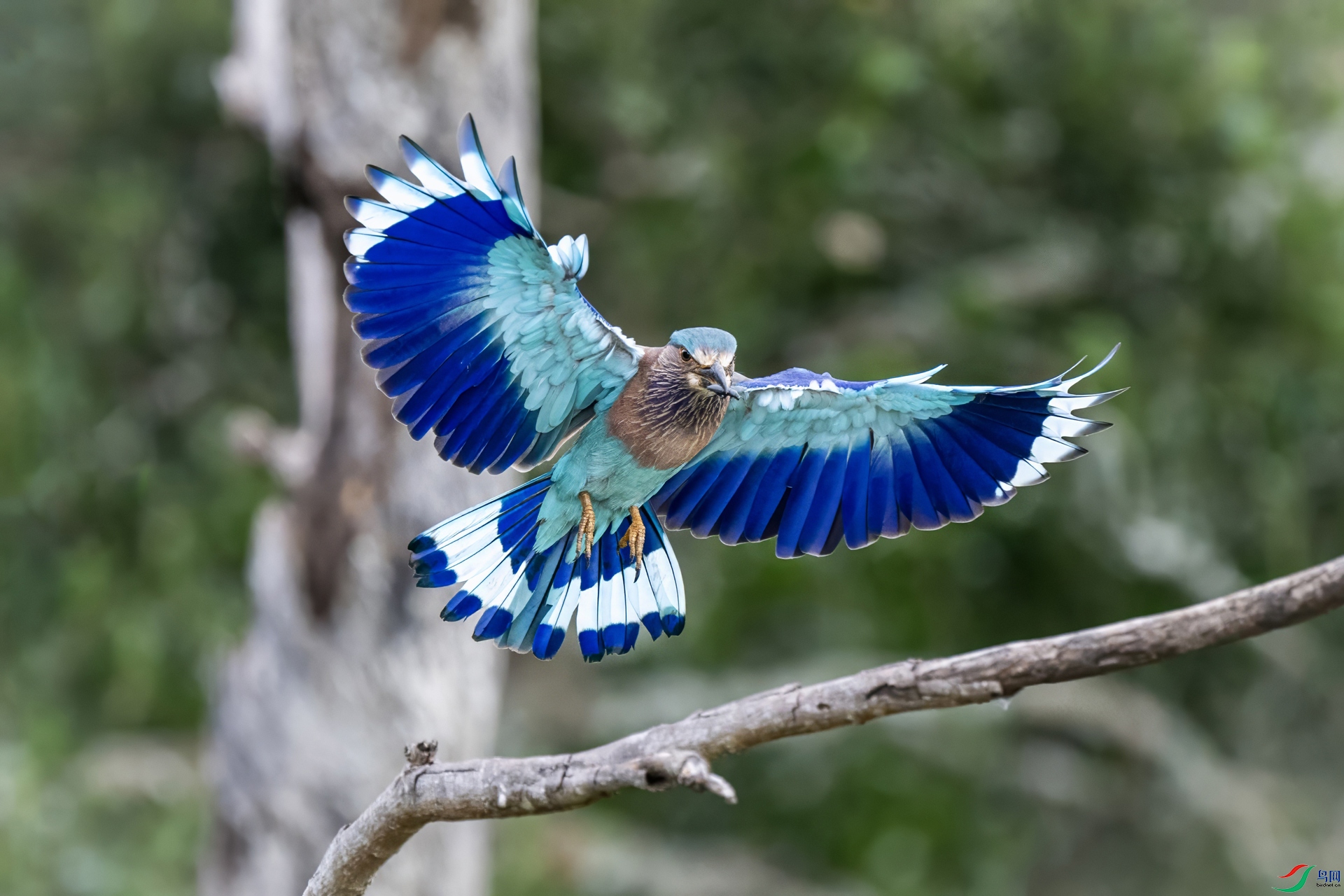 DSC_0152-topaz-denoise.jpg