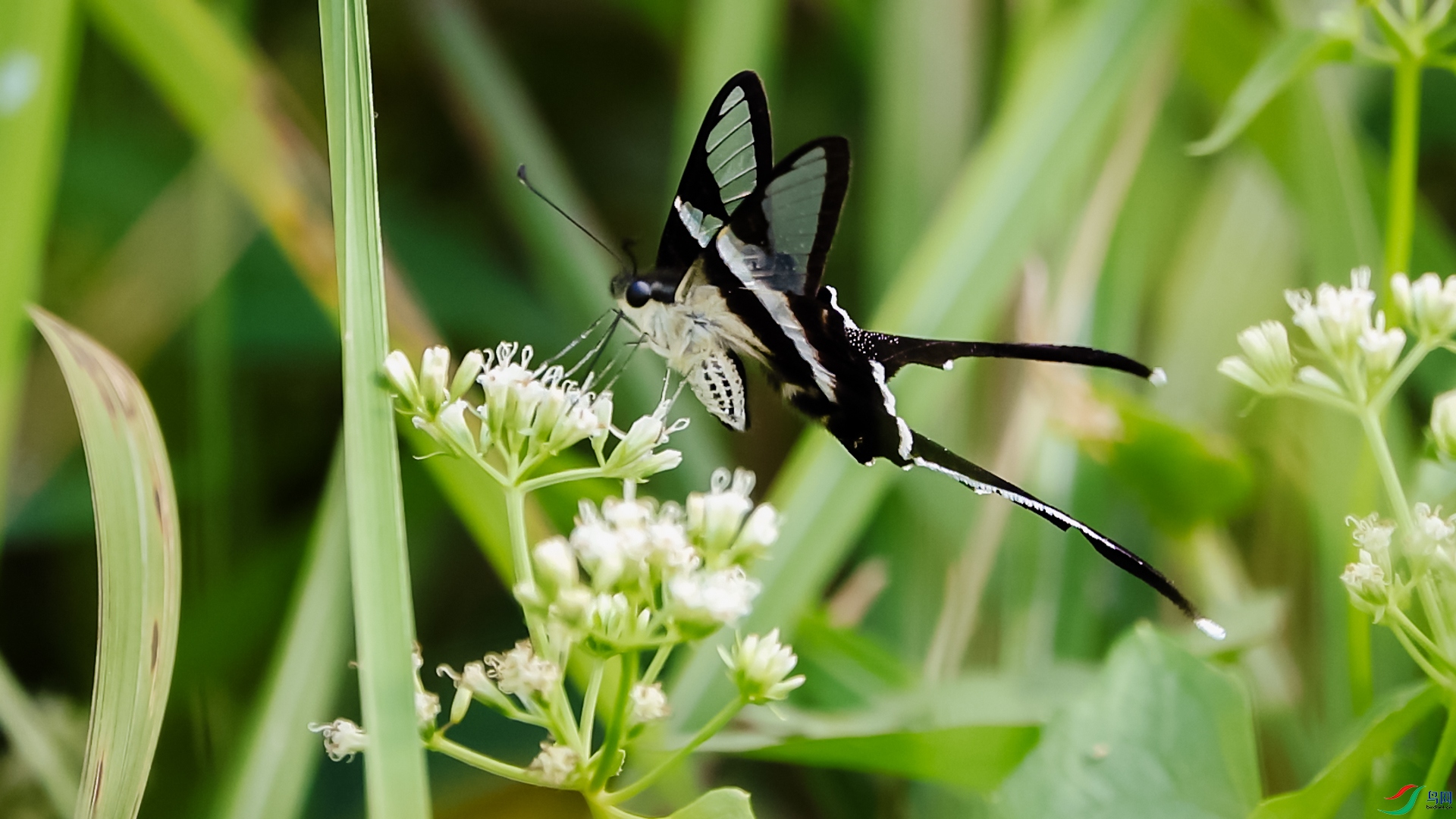 ���� 01.00_01_36_17.Still001.jpg