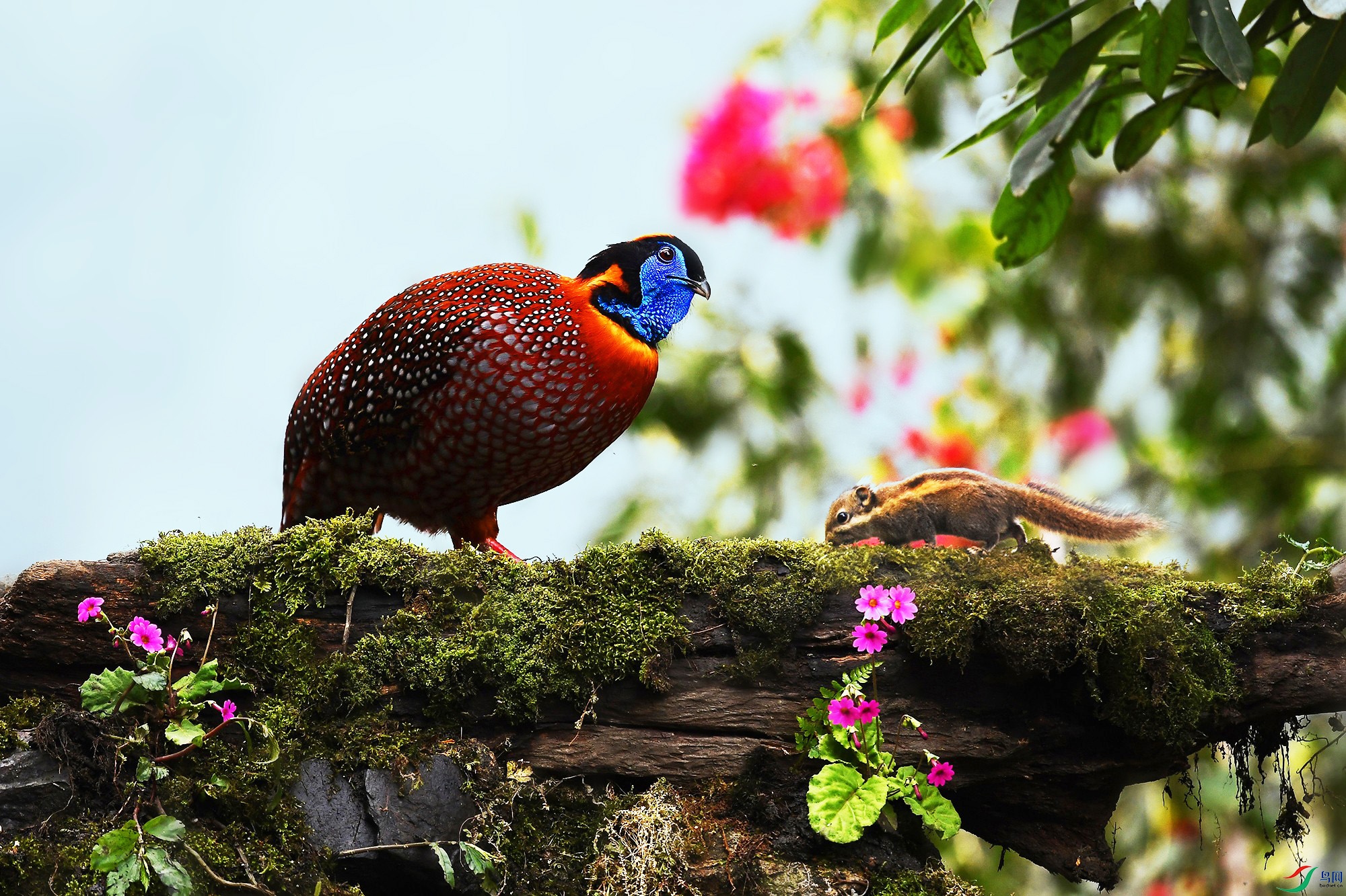 DSC_2496 - ����_.jpg