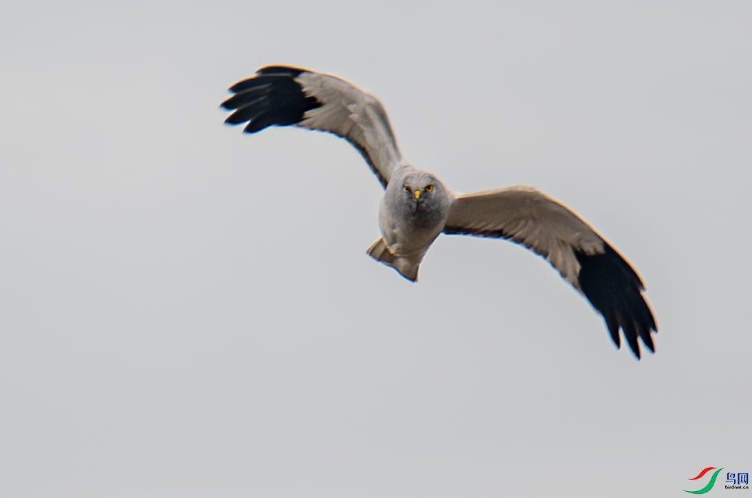 ��һ�μ�¼����β��