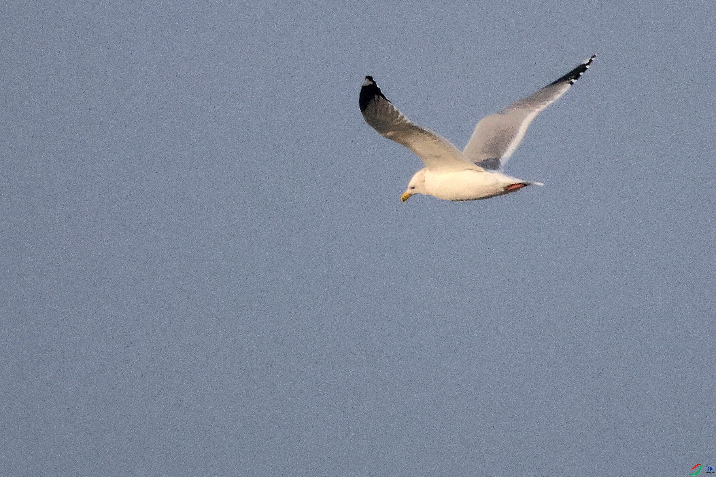 2G9A3908.JPG