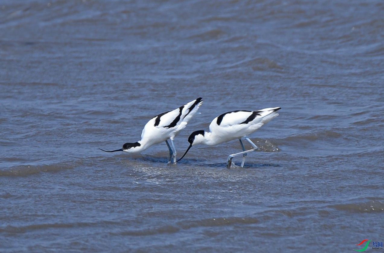 DSC_9493f_��ͼ��.jpg