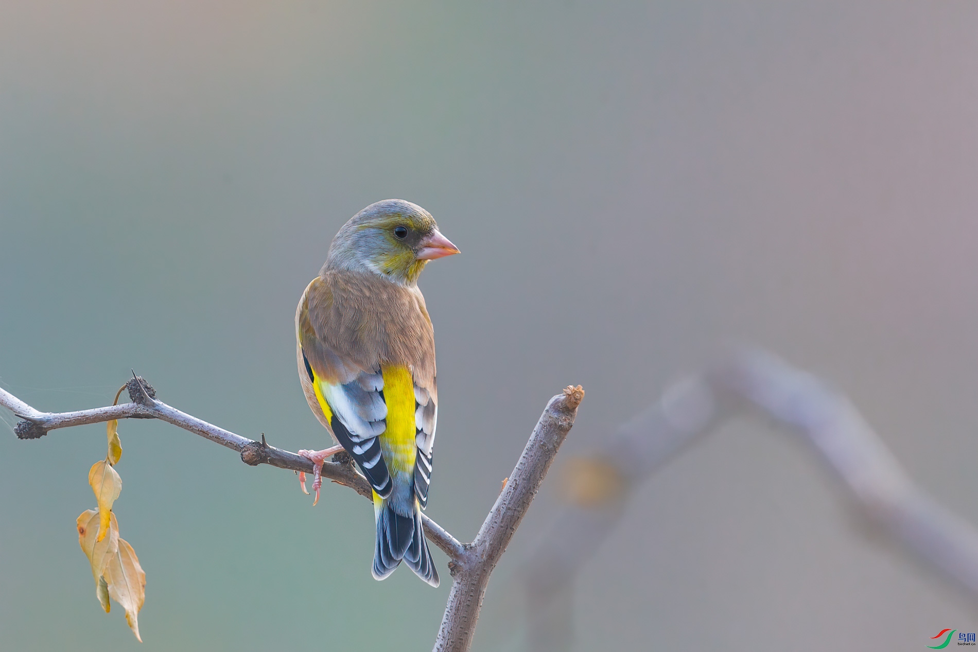 AQ4P0382-1.jpg