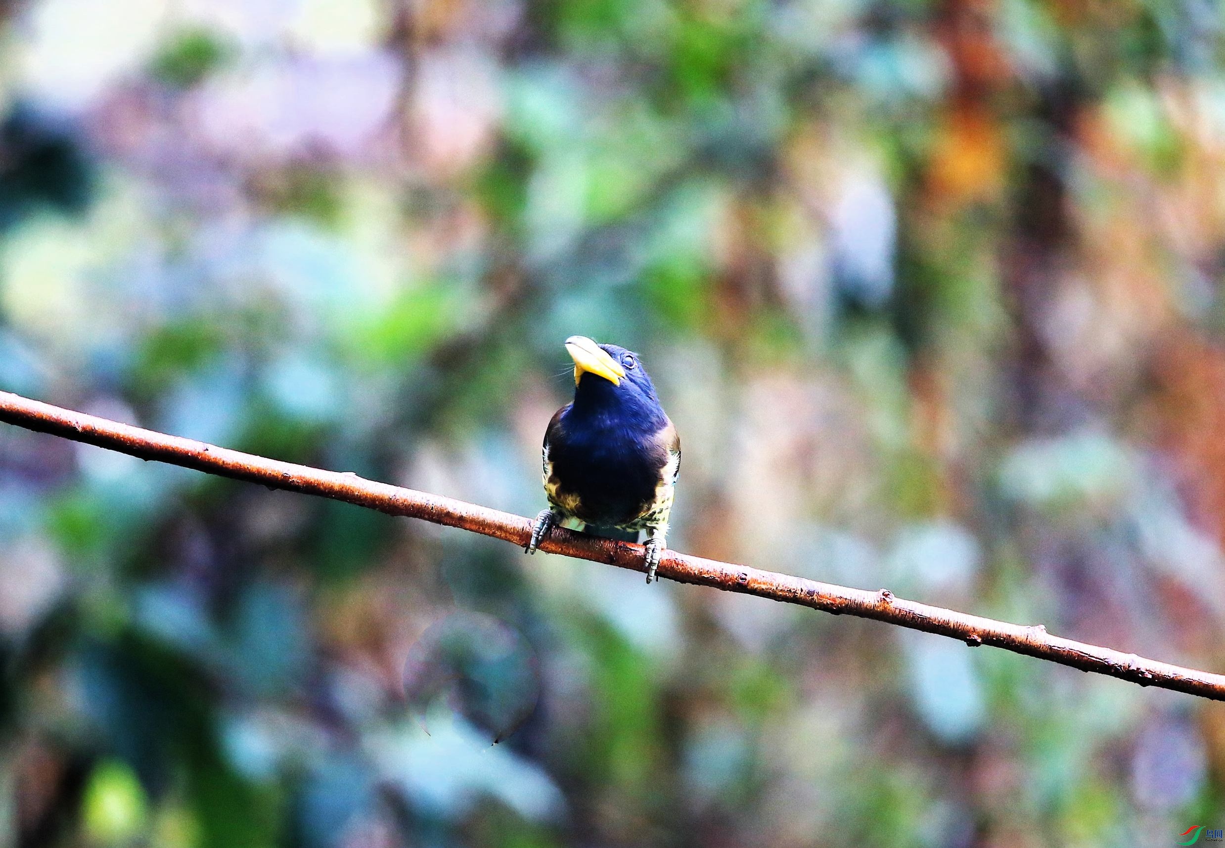 ������ľ�� (7).JPG