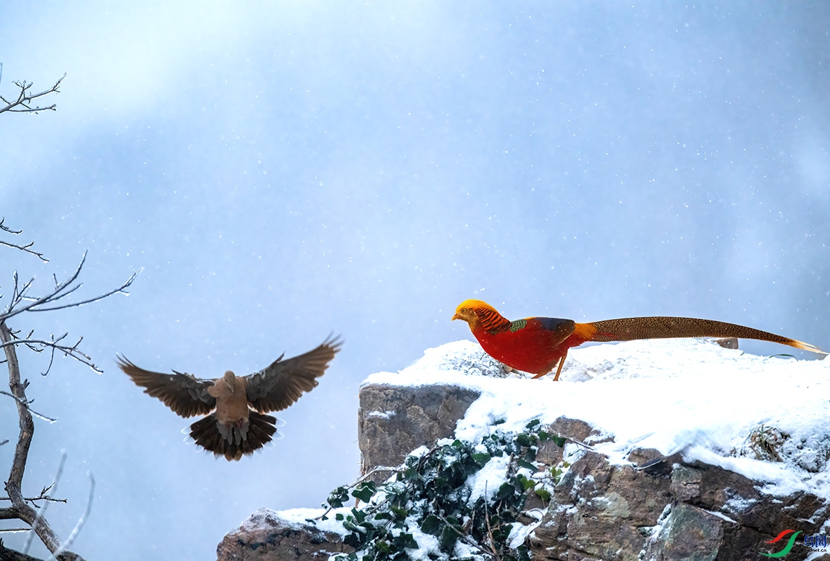 DSC_0055A.jpg