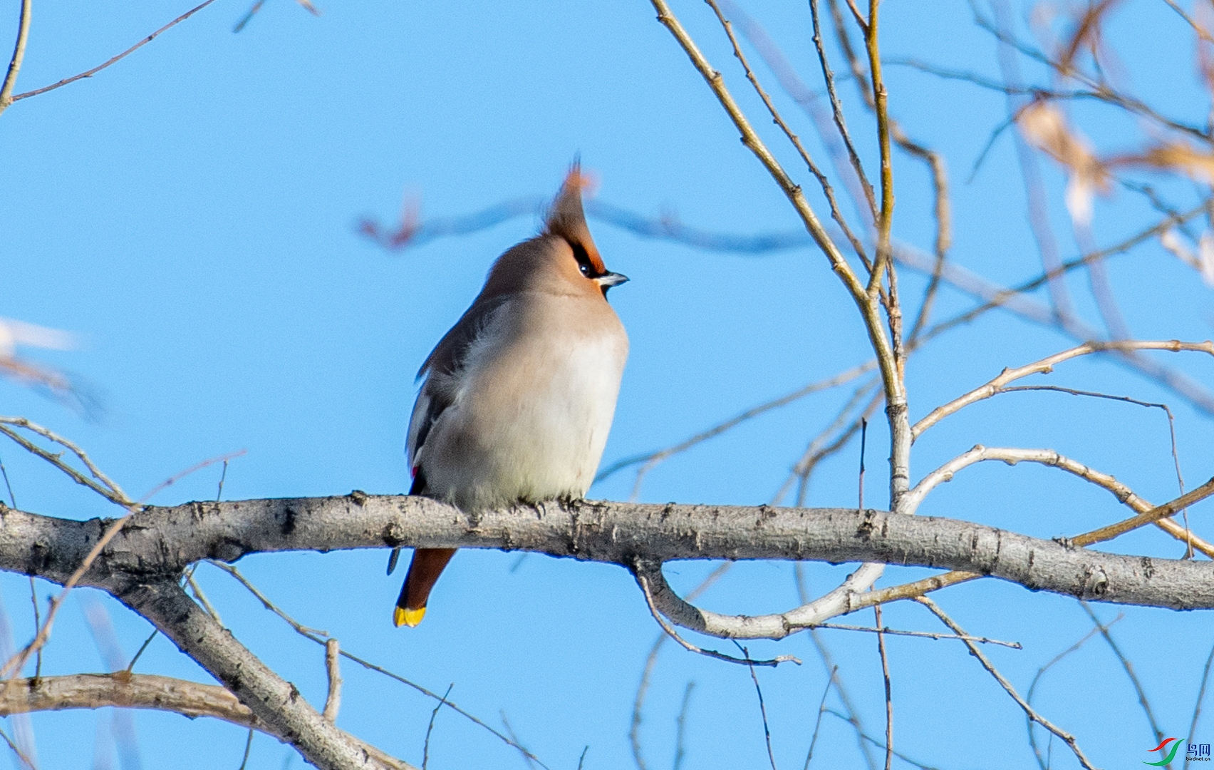 DSC_1716.jpg