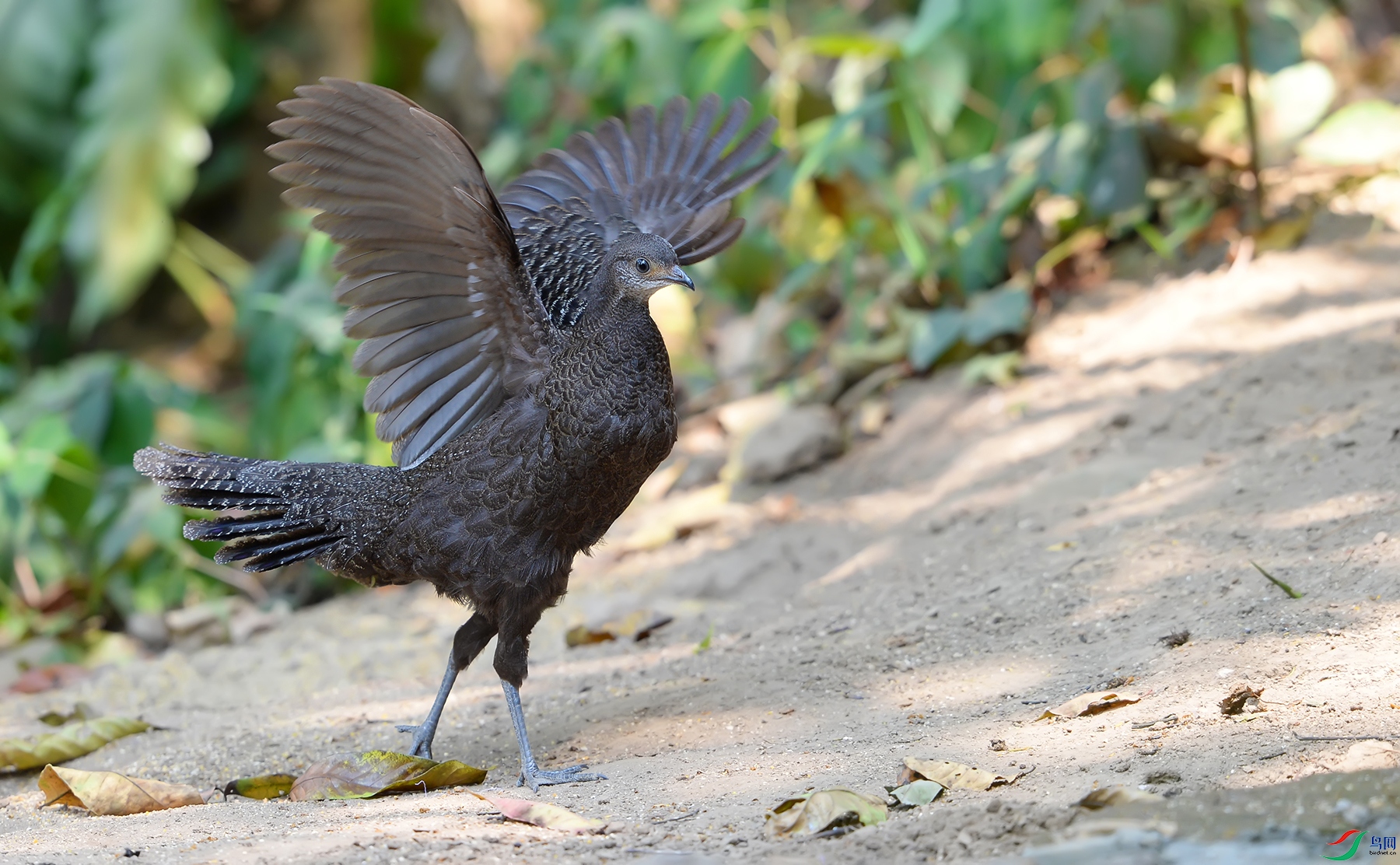 DSC_54863.jpg