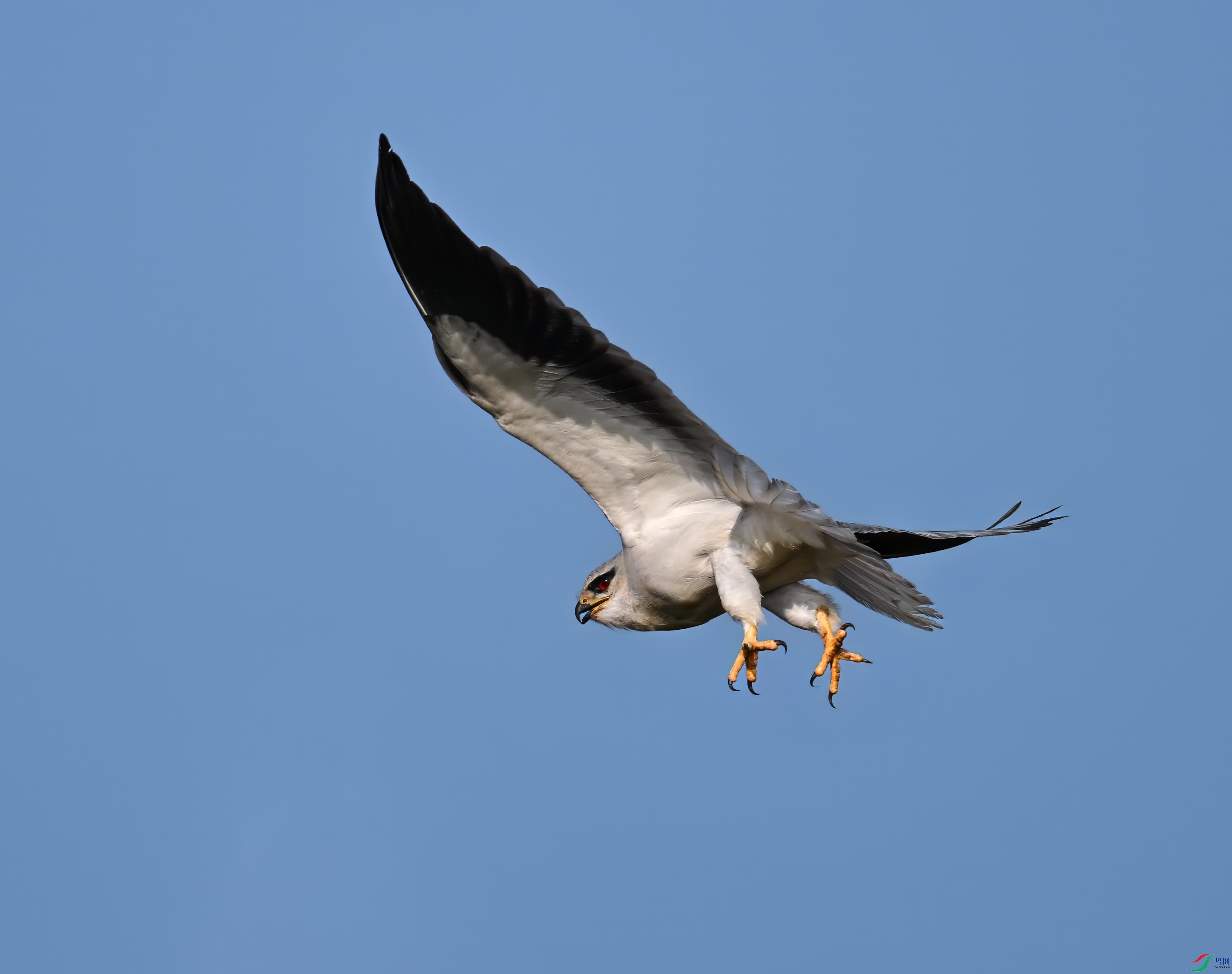 DSC_2363_����1.jpg