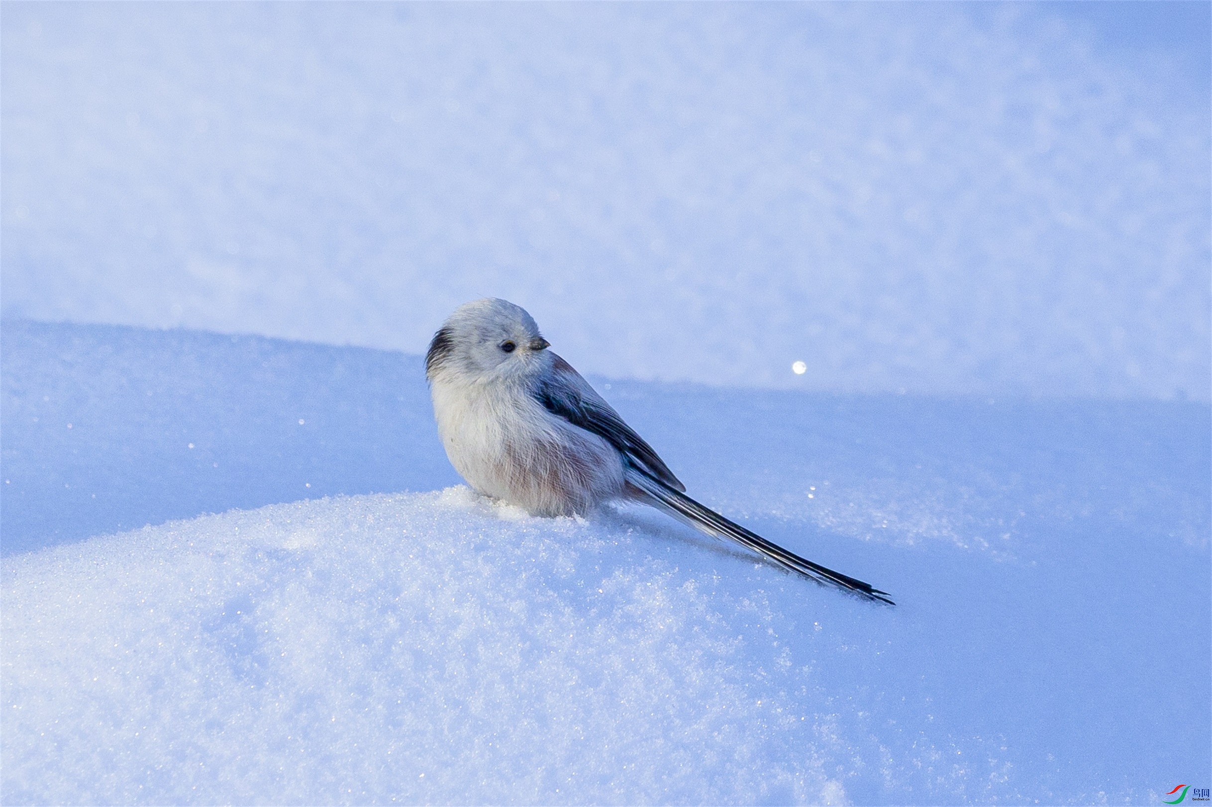 1K3A5608 ����1.jpg