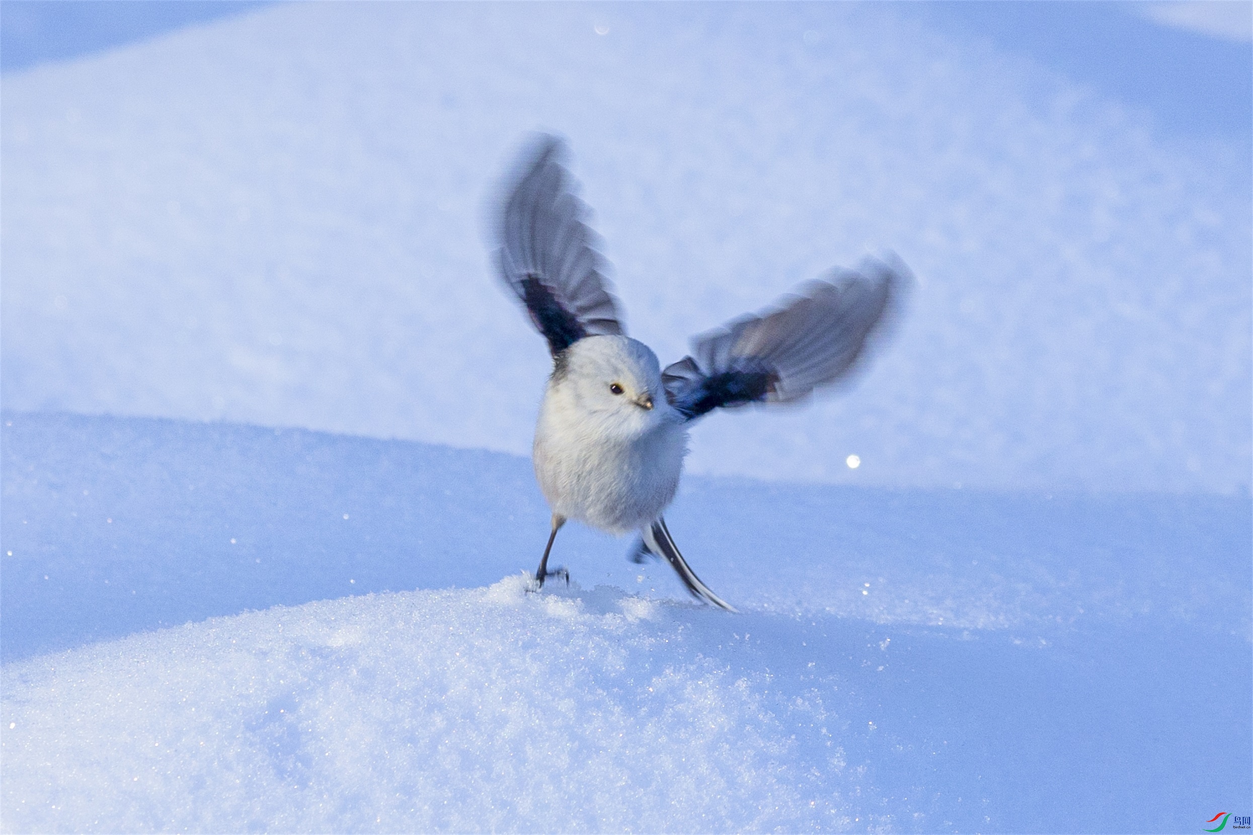 1K3A5614 ����1.jpg