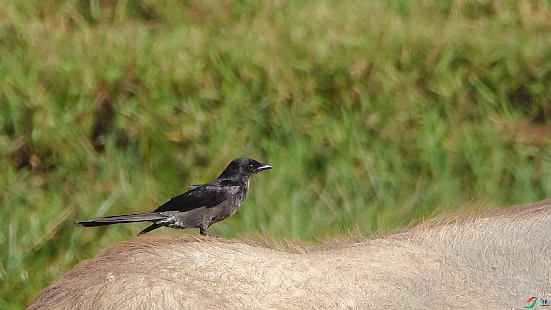 ���� 01.00_00_43_02.Still001.jpg