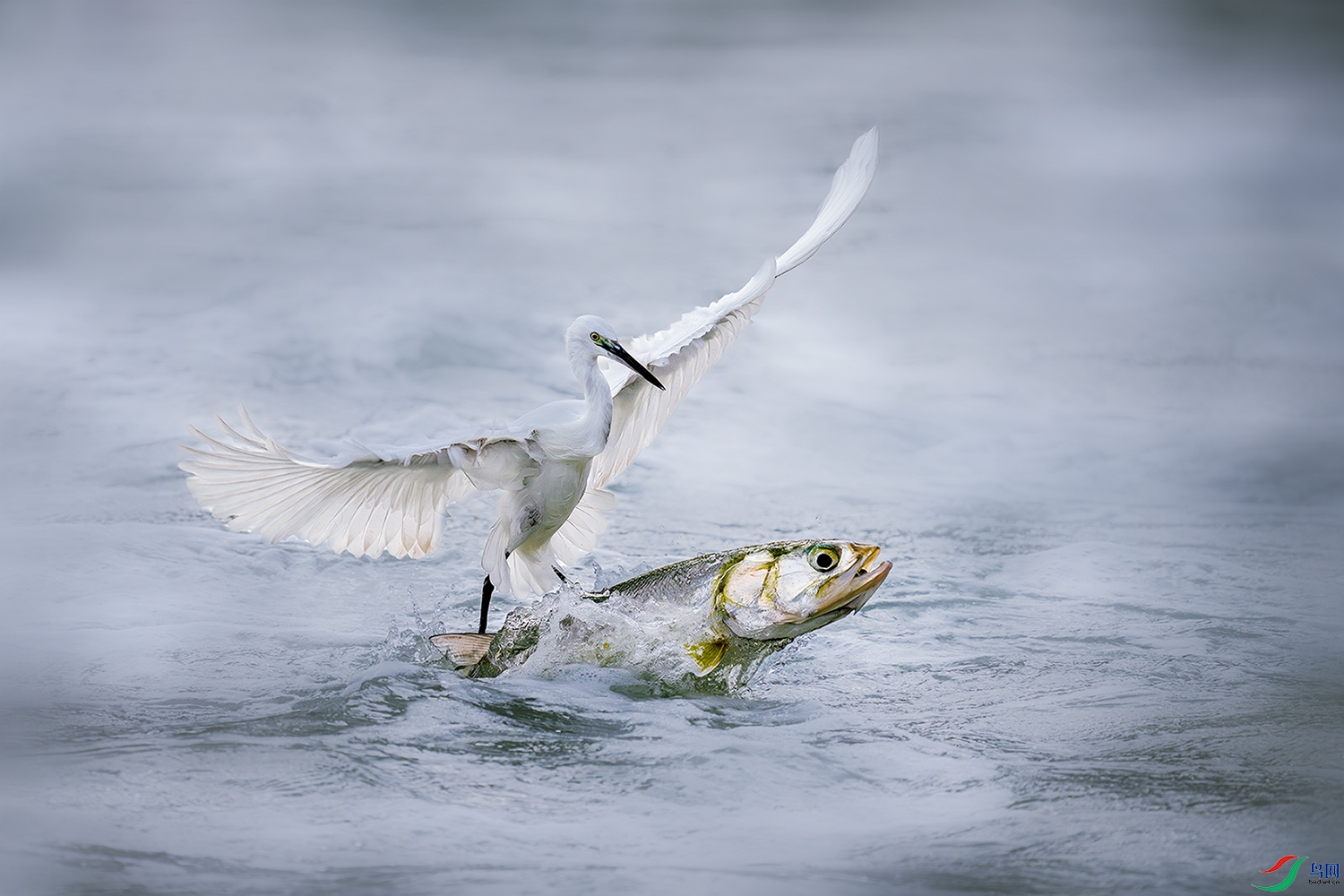 LZW08751-����ǿ-NR ����.jpg