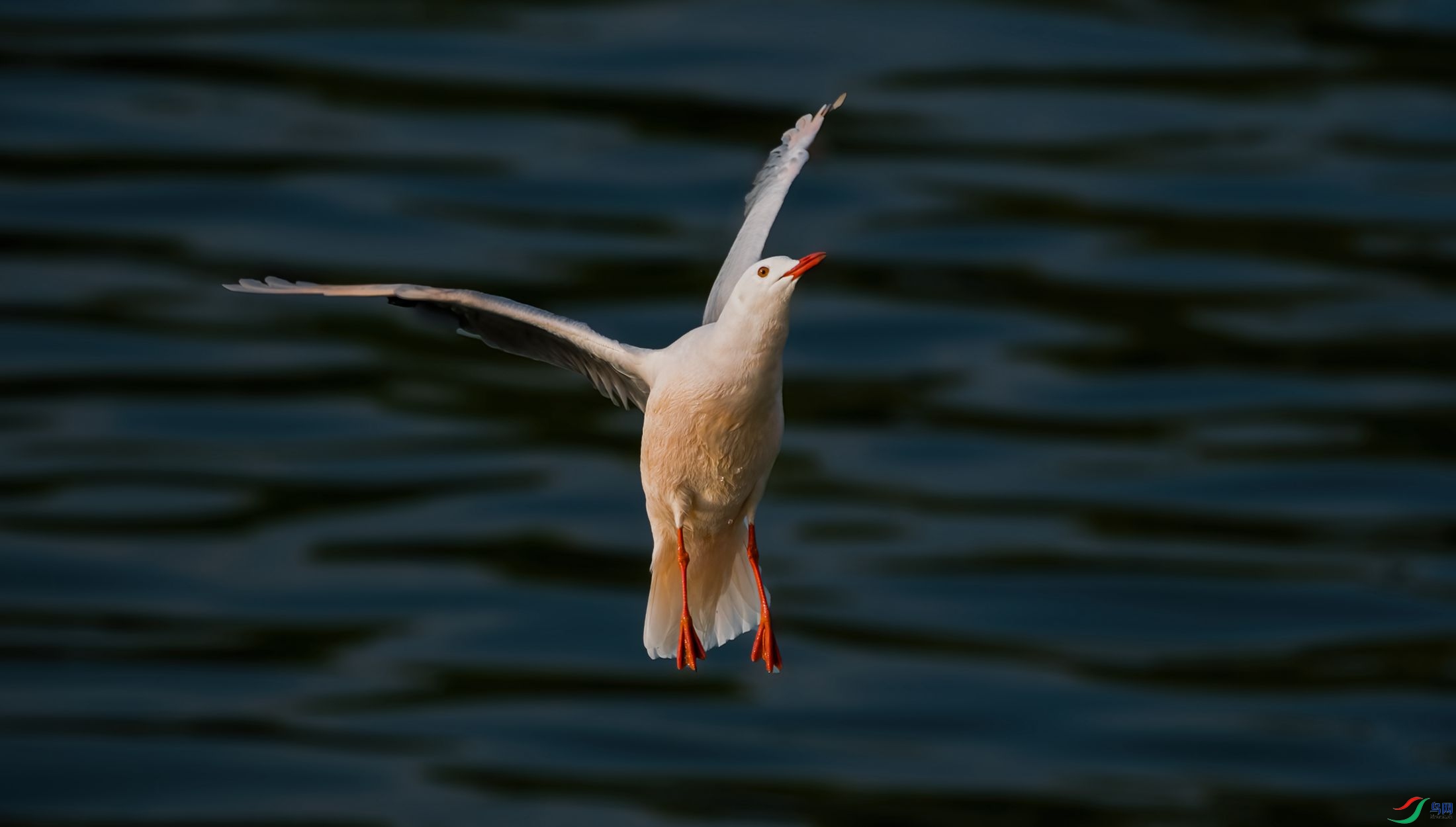 ����������ϸ��Ÿ��