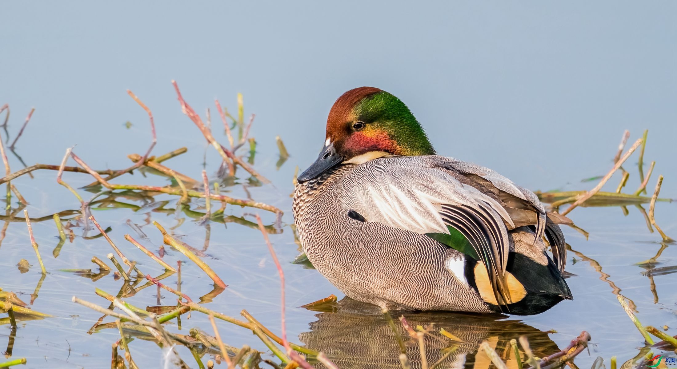 ��ʰ�쵵�����Ѽ