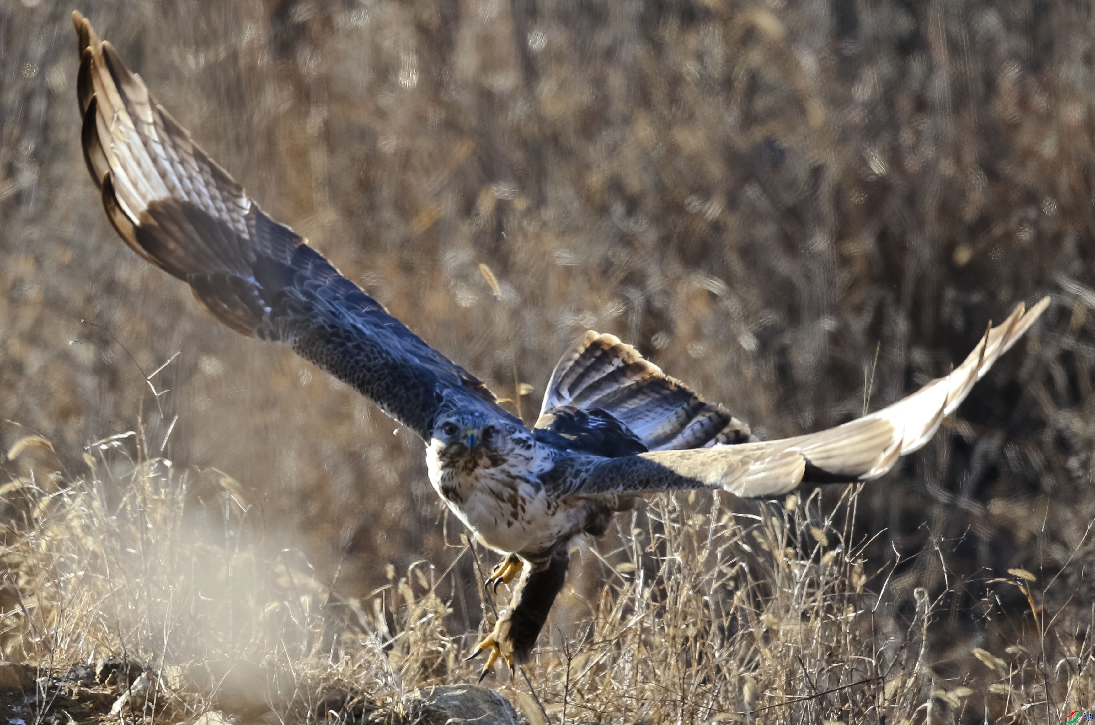 ���� (12)-1.jpg