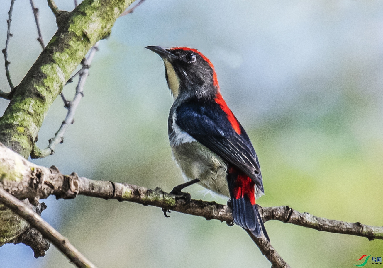 DSC_1447.jpg