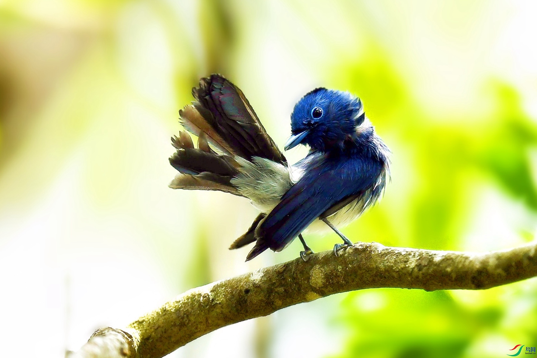 20 _����.jpg