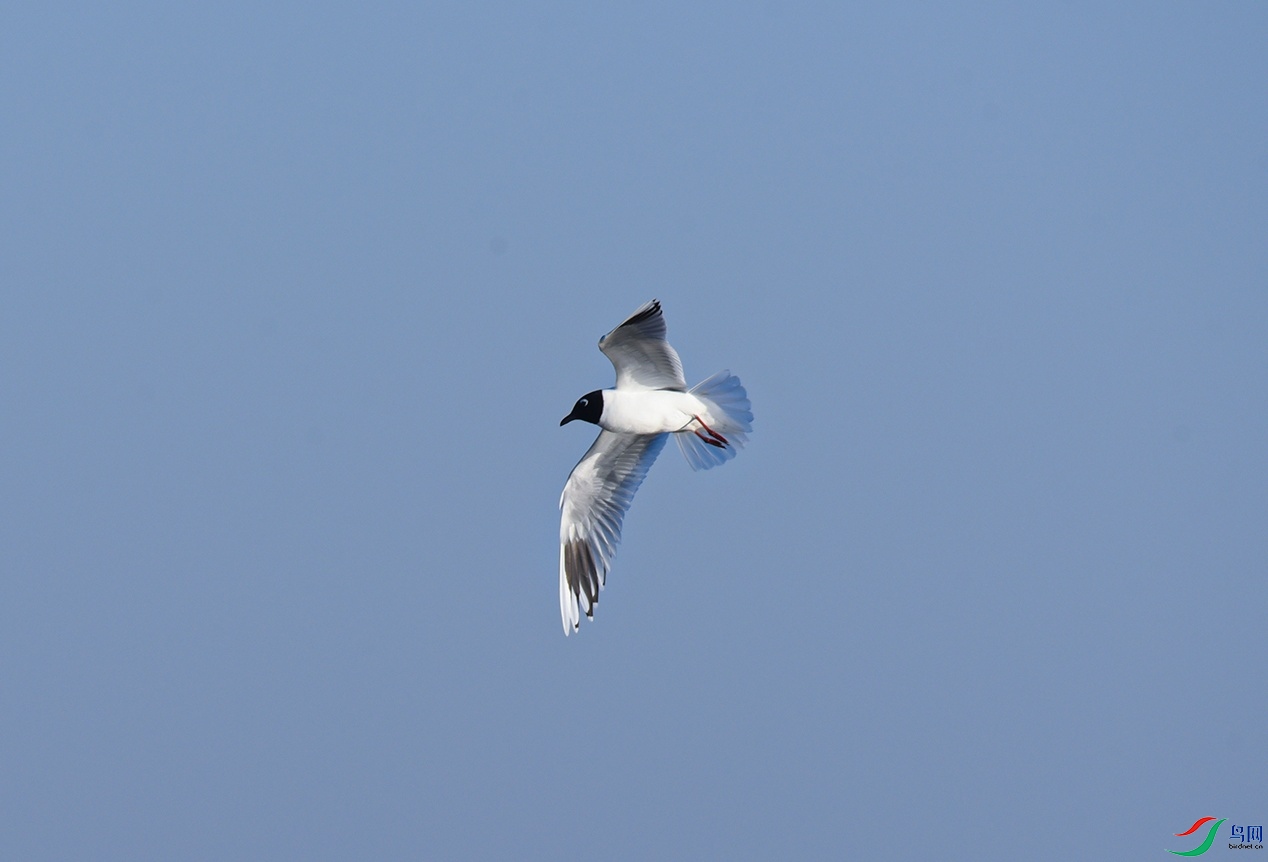 DSC_0331f_��ͼ��.jpg