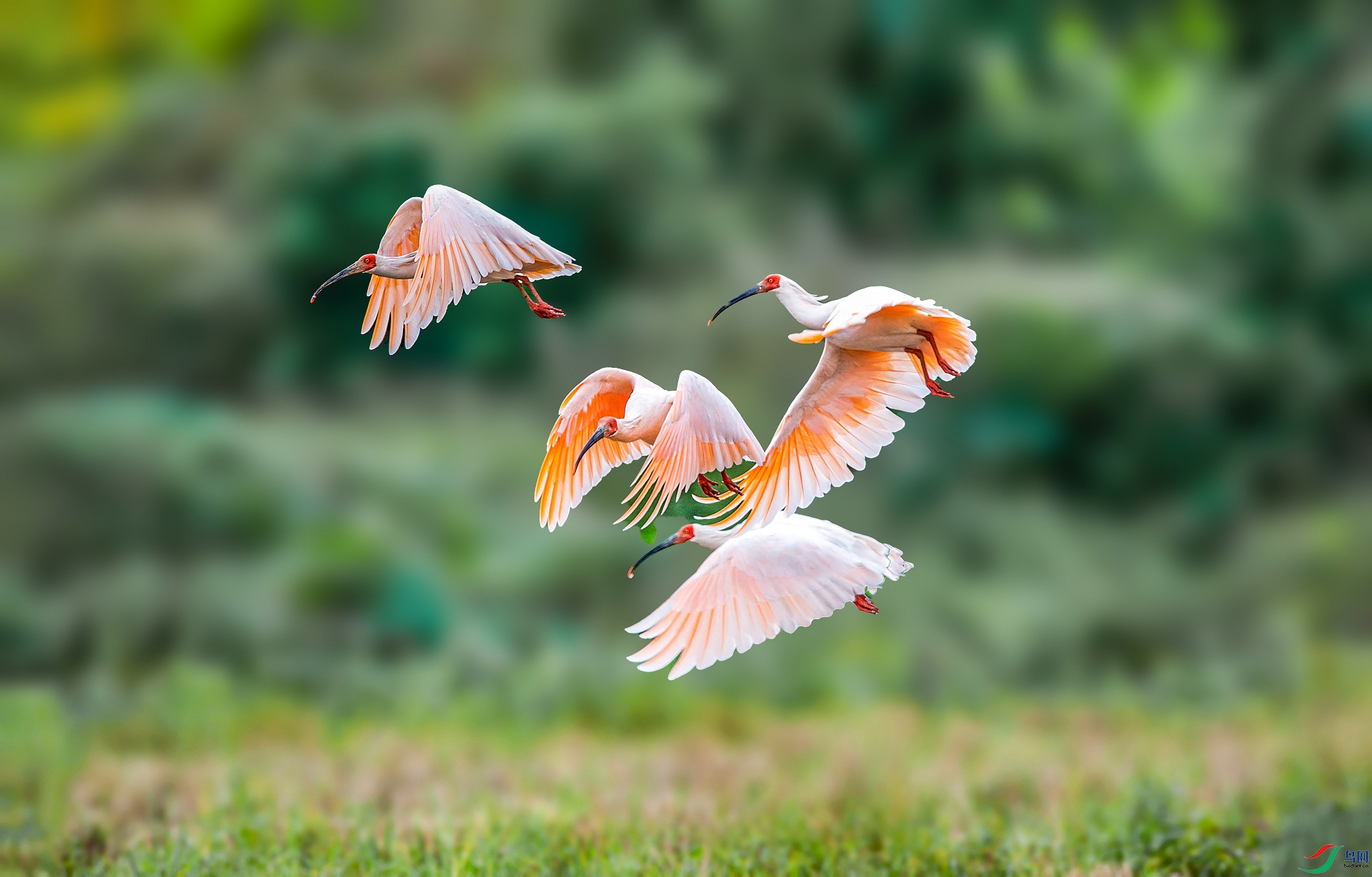 DSC_3943 ����_���� ���� 2.jpg