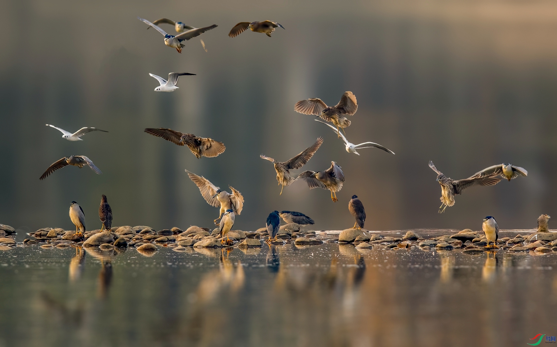 DSC_6401 ����_����.jpg