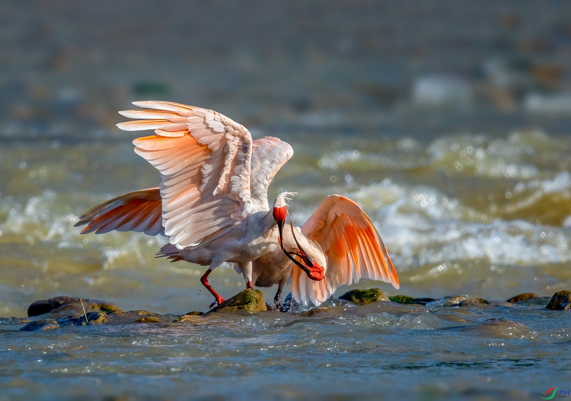 DSC_7585 ����_����.jpg