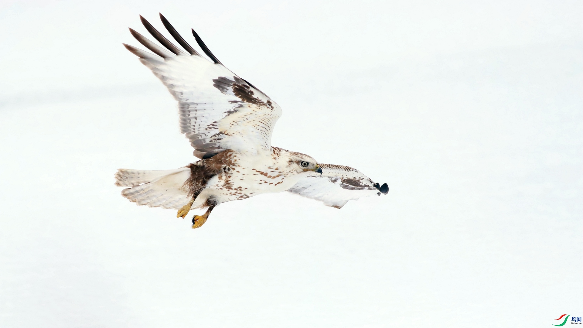 �ļ��� ��Ұ��