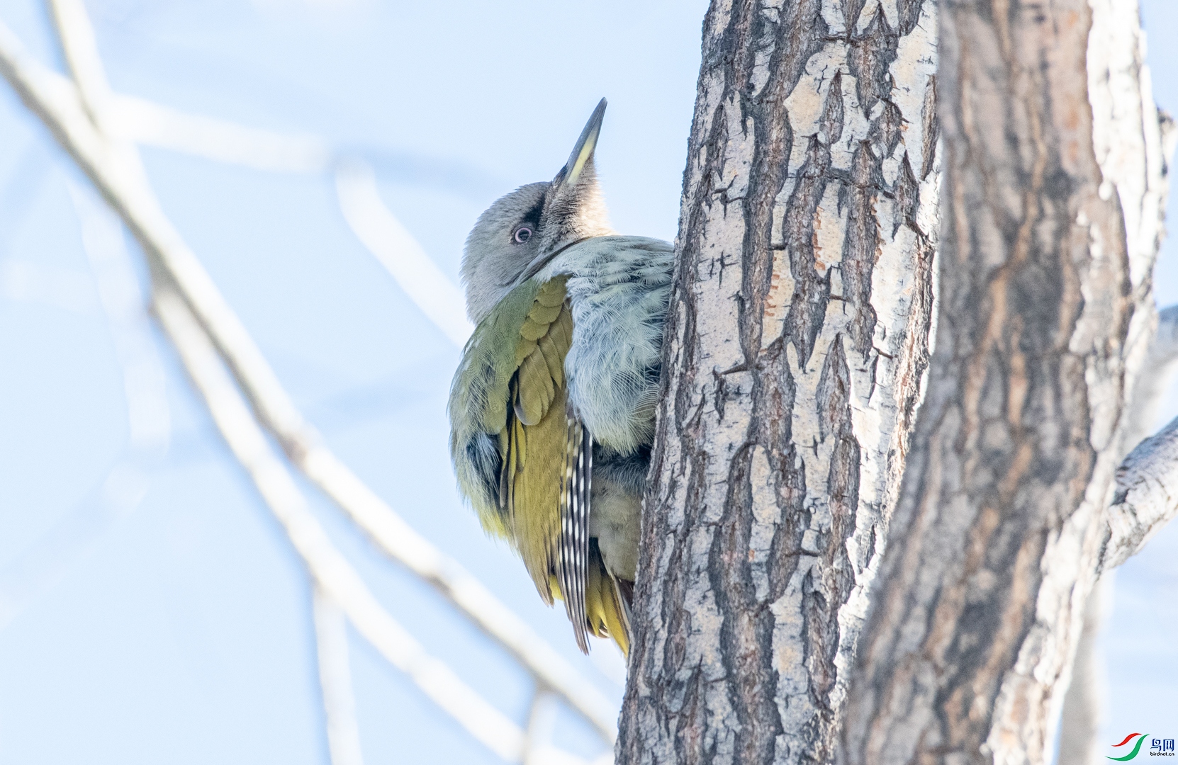DSC_2543.jpg