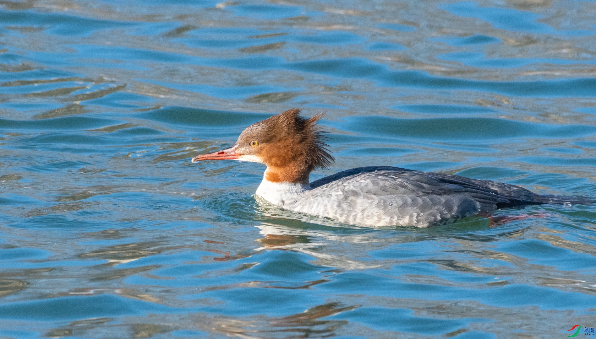 DSC_2570.jpg