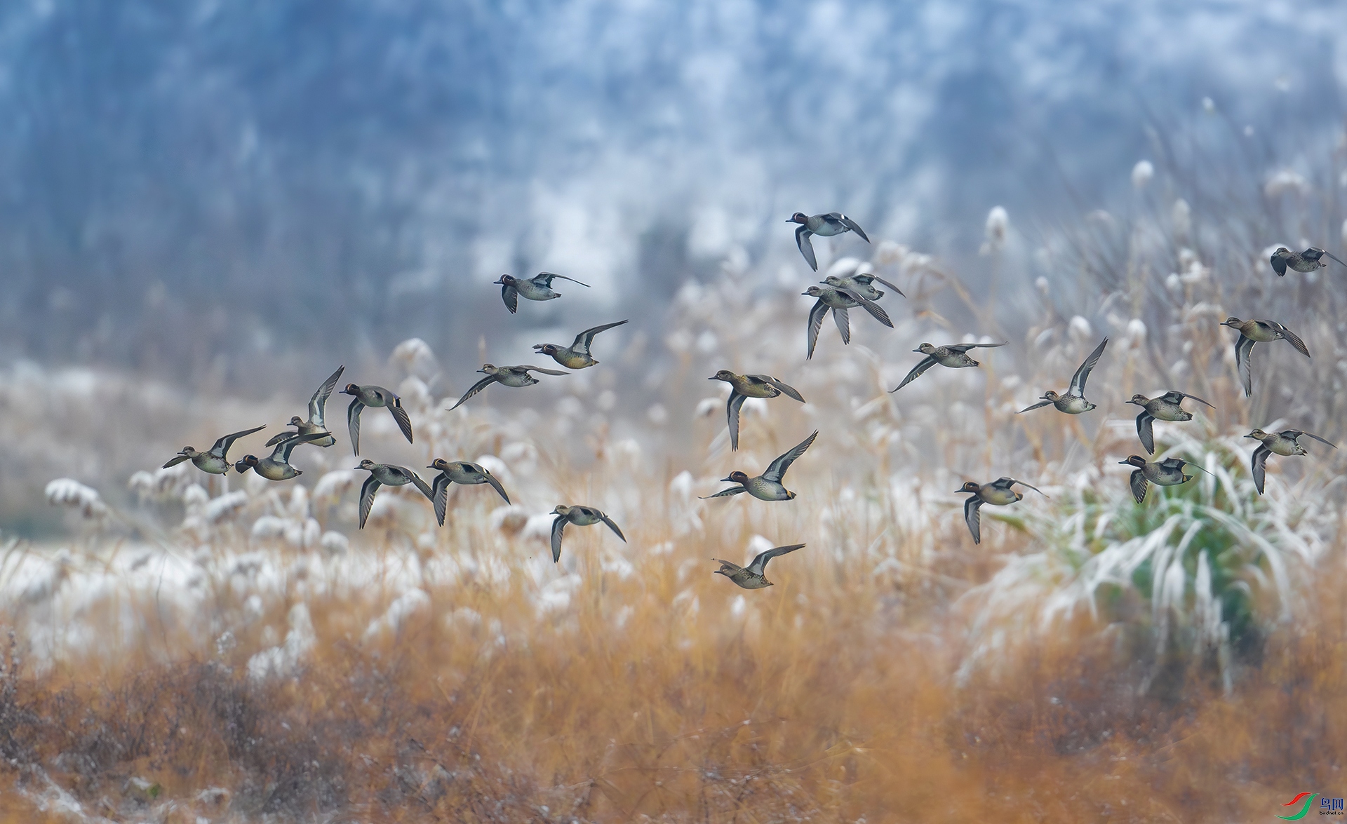 ����DSC_3238 ����.jpg