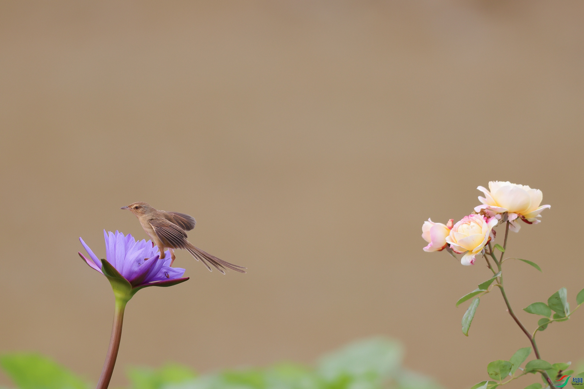 1M6A6670 ����_����.jpg