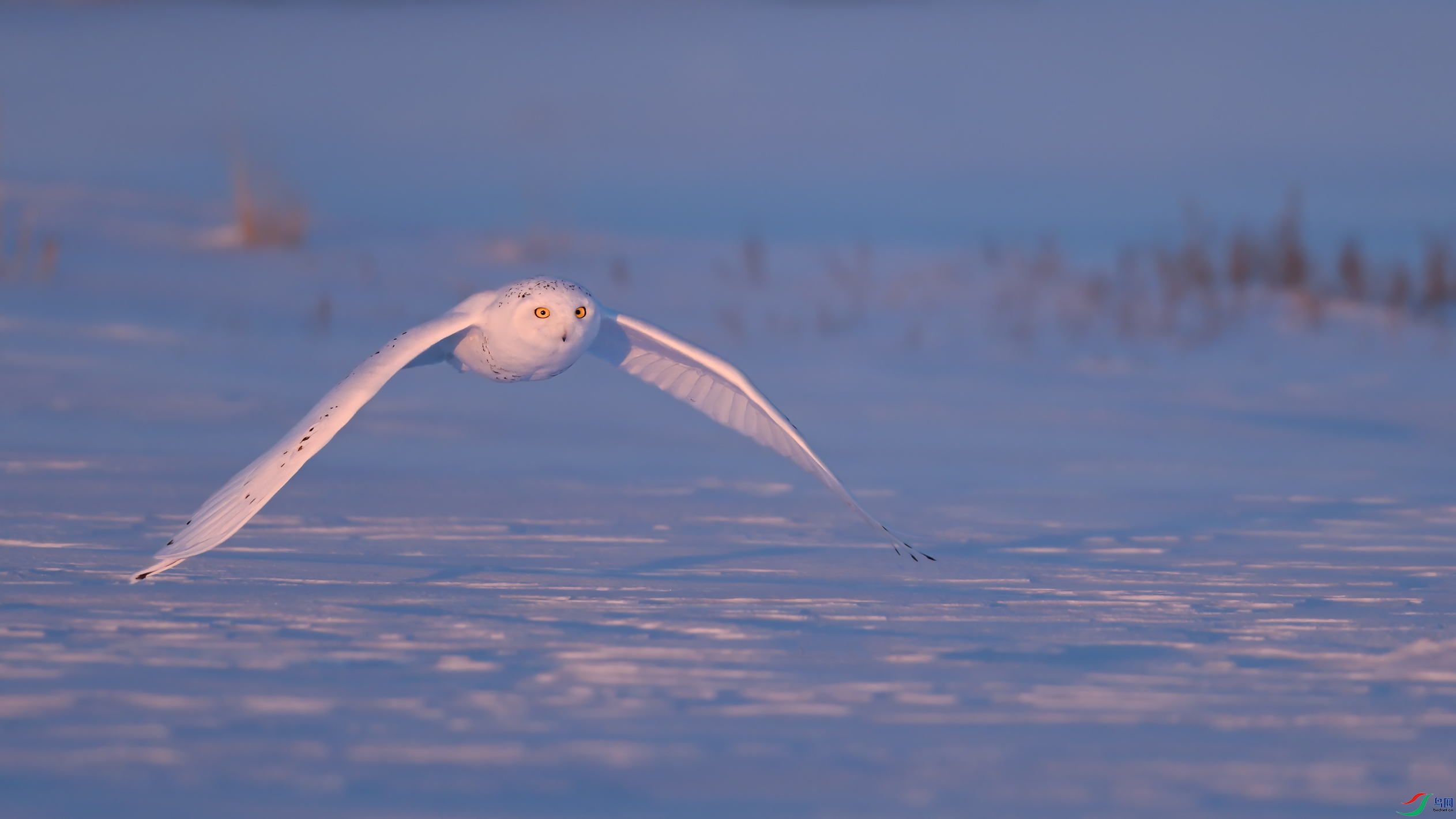 ѩ�^DSC_6564.jpg