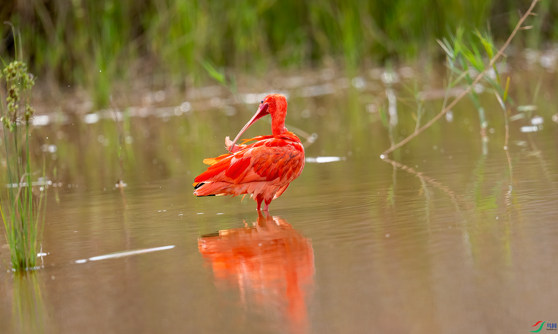 DSC09386.png   0002.png