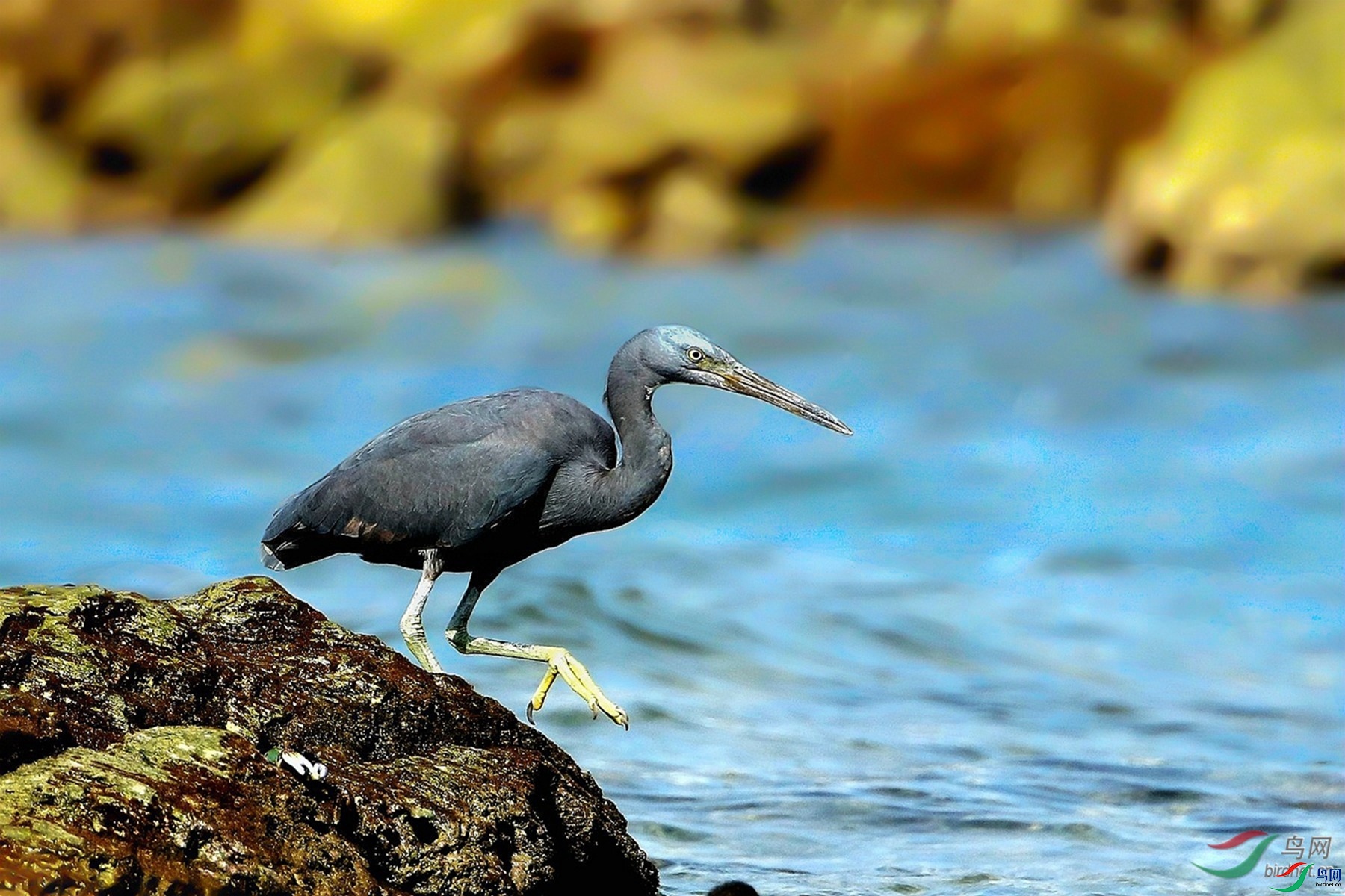 213 ����.jpg