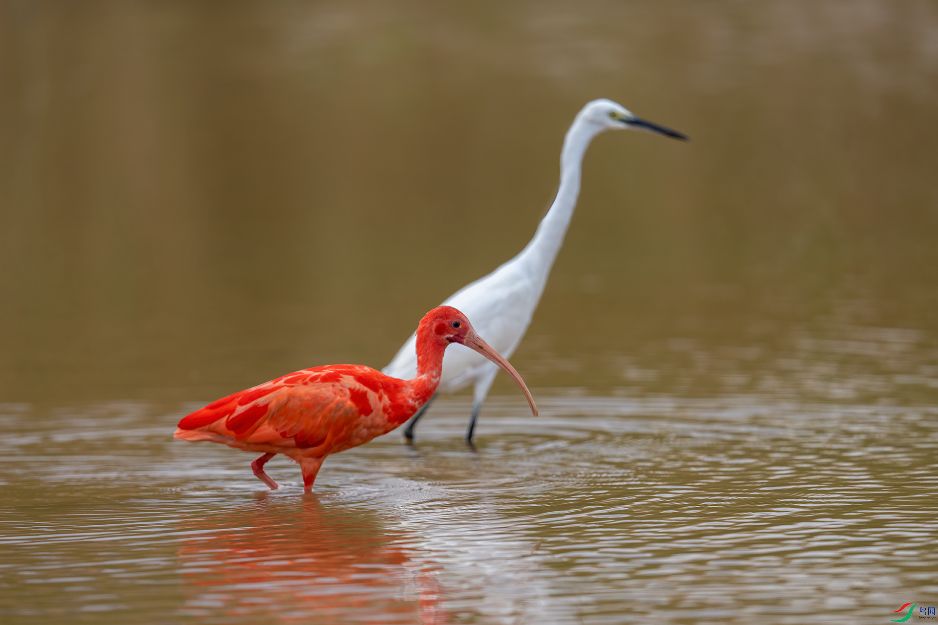 DSC08654.png   0001.png